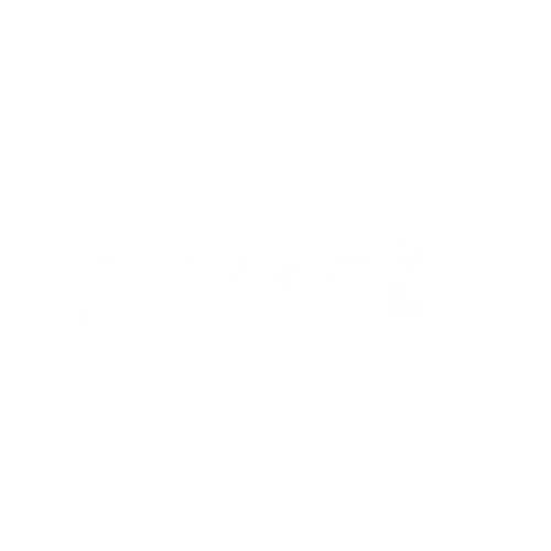 Caso de Éxito de MP Digital con Restaurante Aridañi en Google Business Profile