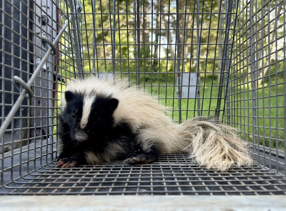 Blog Post Title Three