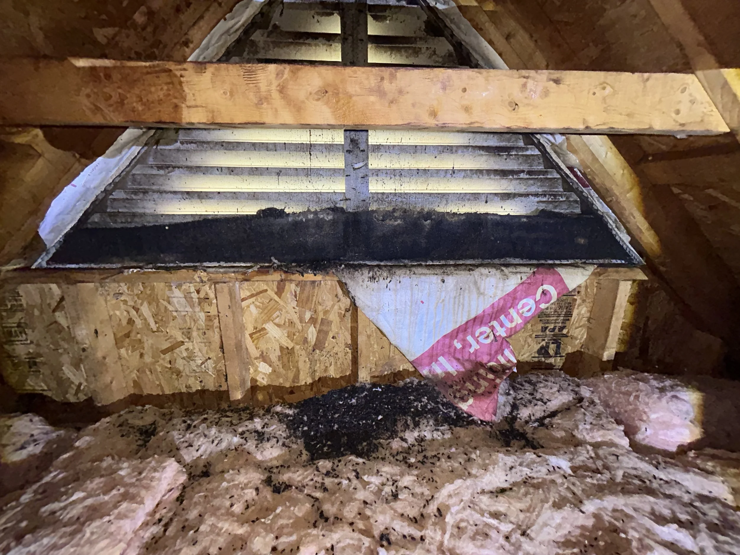 Blog Post Title Three