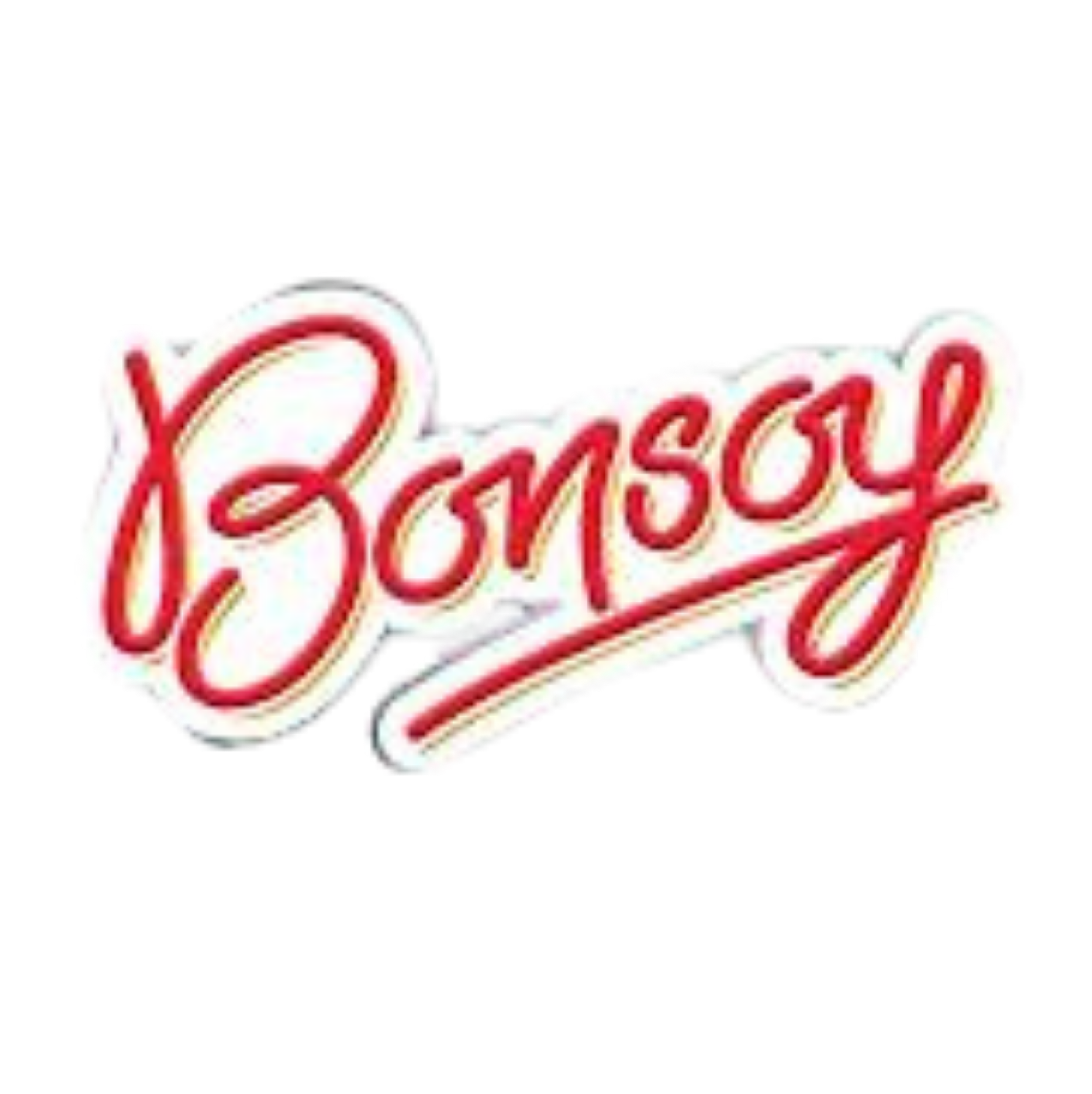Bonsoy.png