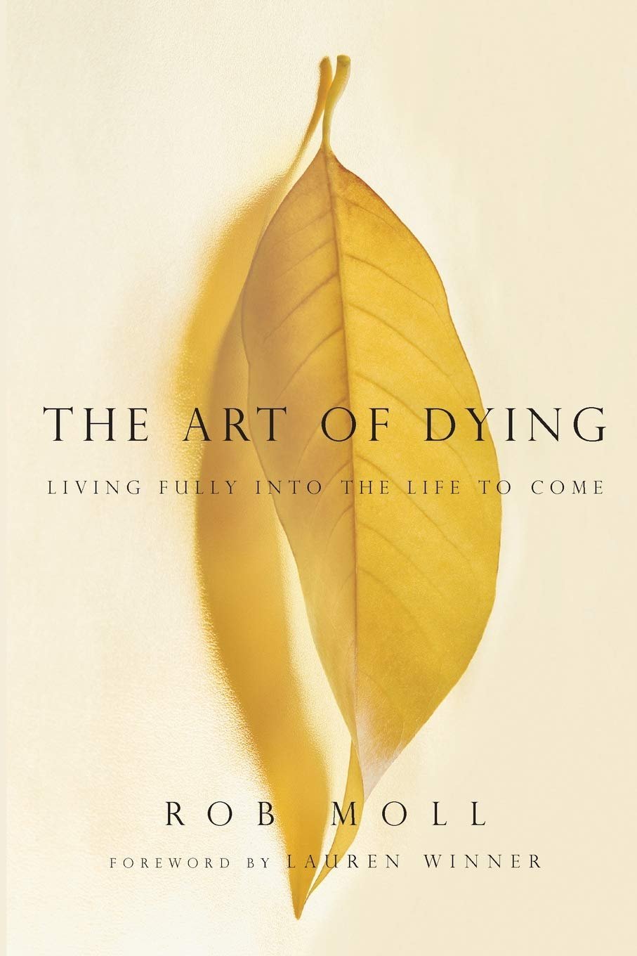 The Art of Dying.jpg