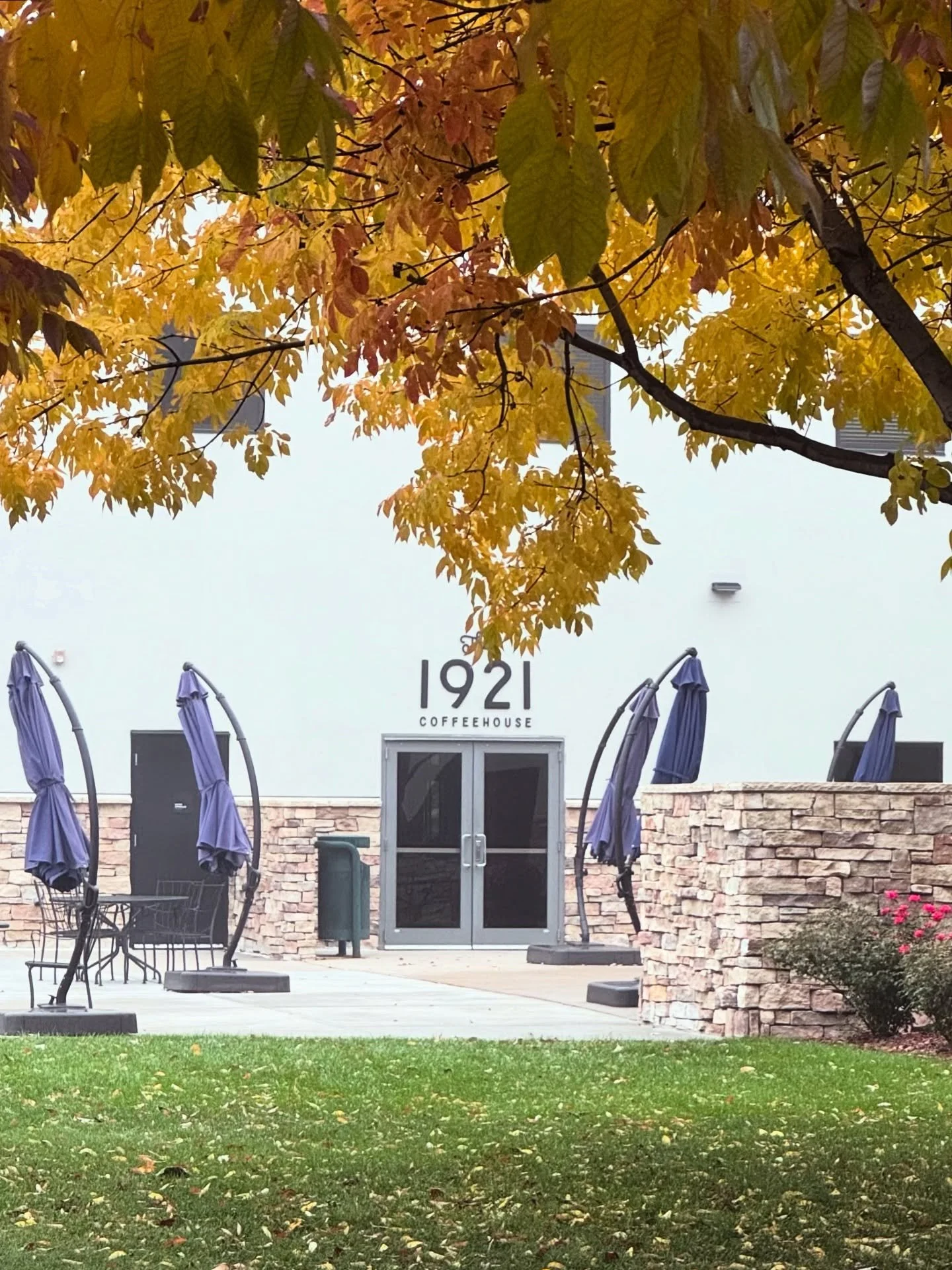 Fall is right outside our window, but the leaves are already dropping&hellip; not much longer to enjoy a cozy Fall Favorite from our seasonal menu. Which have you tried? Get them now until mid-November.
🍂
#fall #pumpkinspice #coffeehouse #fortcollin