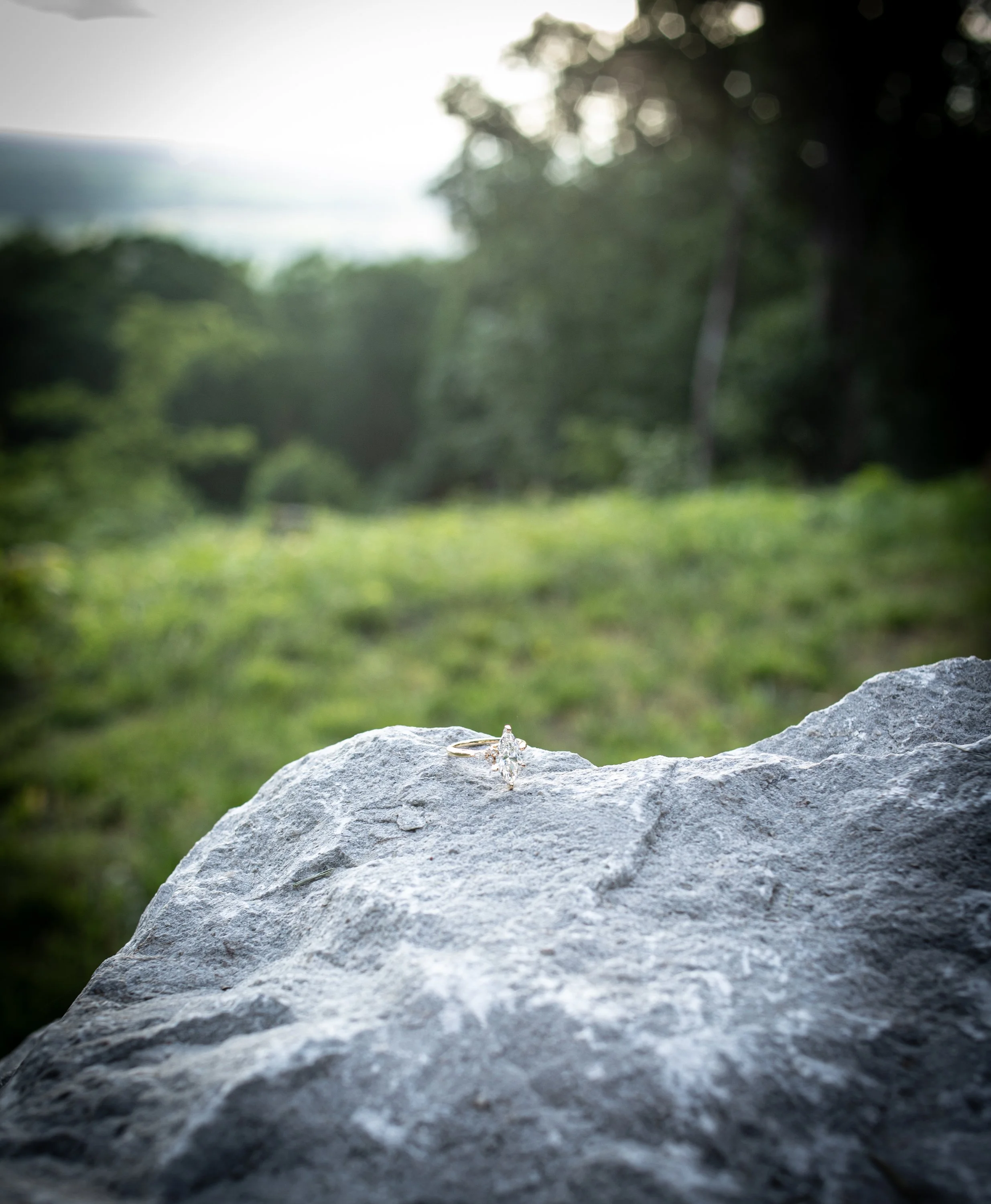 _MG_6920.jpg