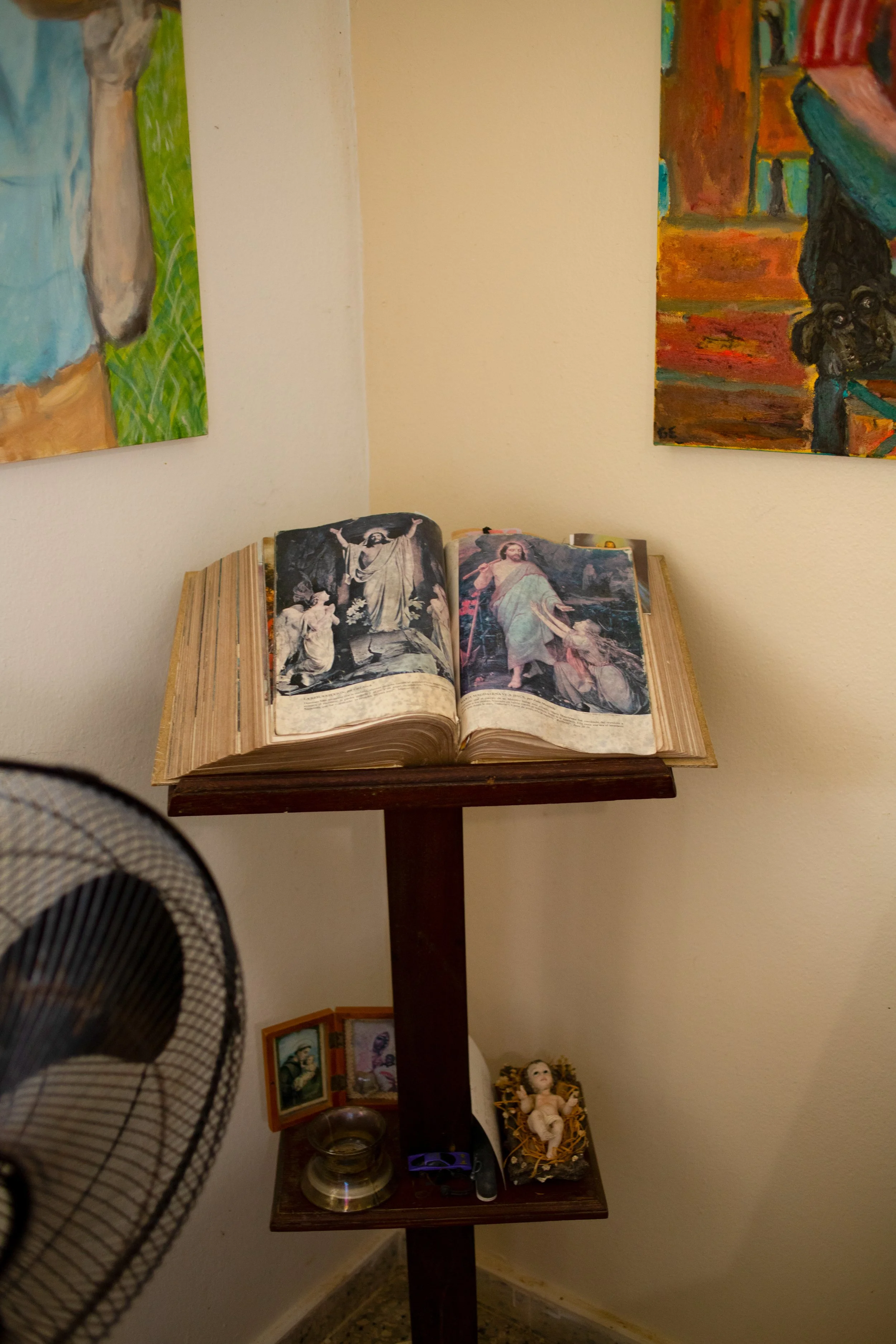 20250117 1332 (2406).jpg