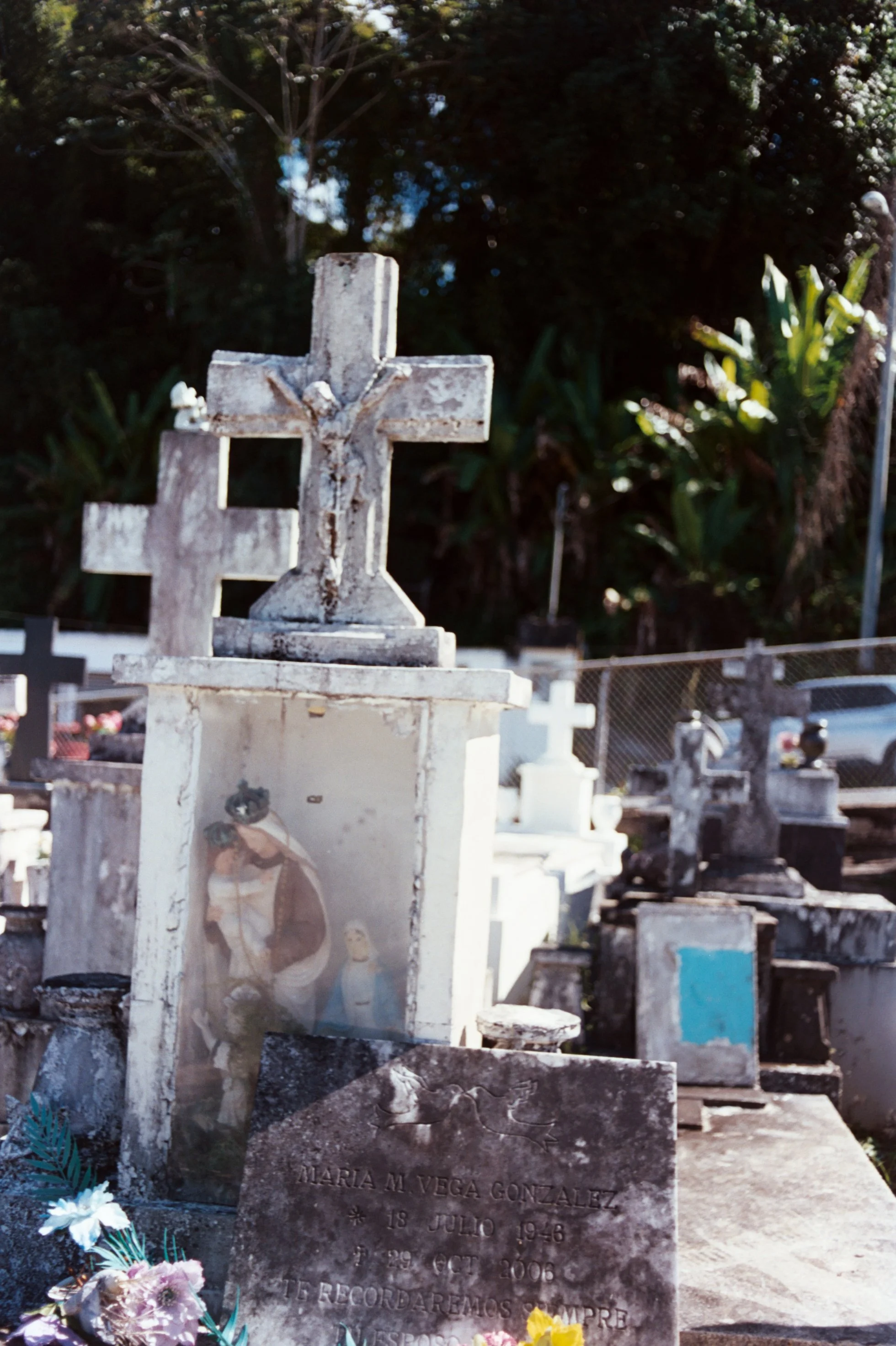 240130 1409 (5659).jpg