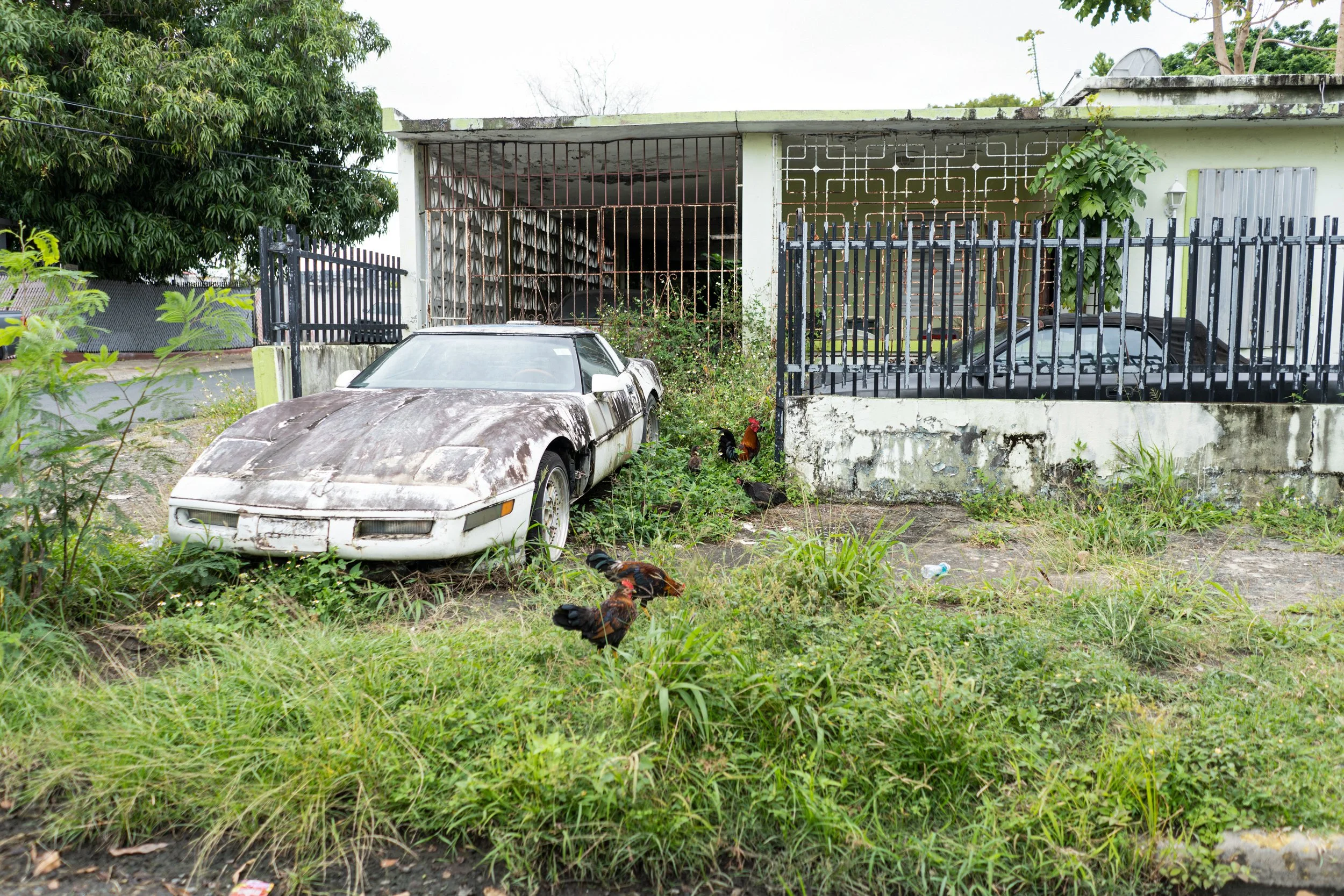 20250115 1303 (1969).jpg