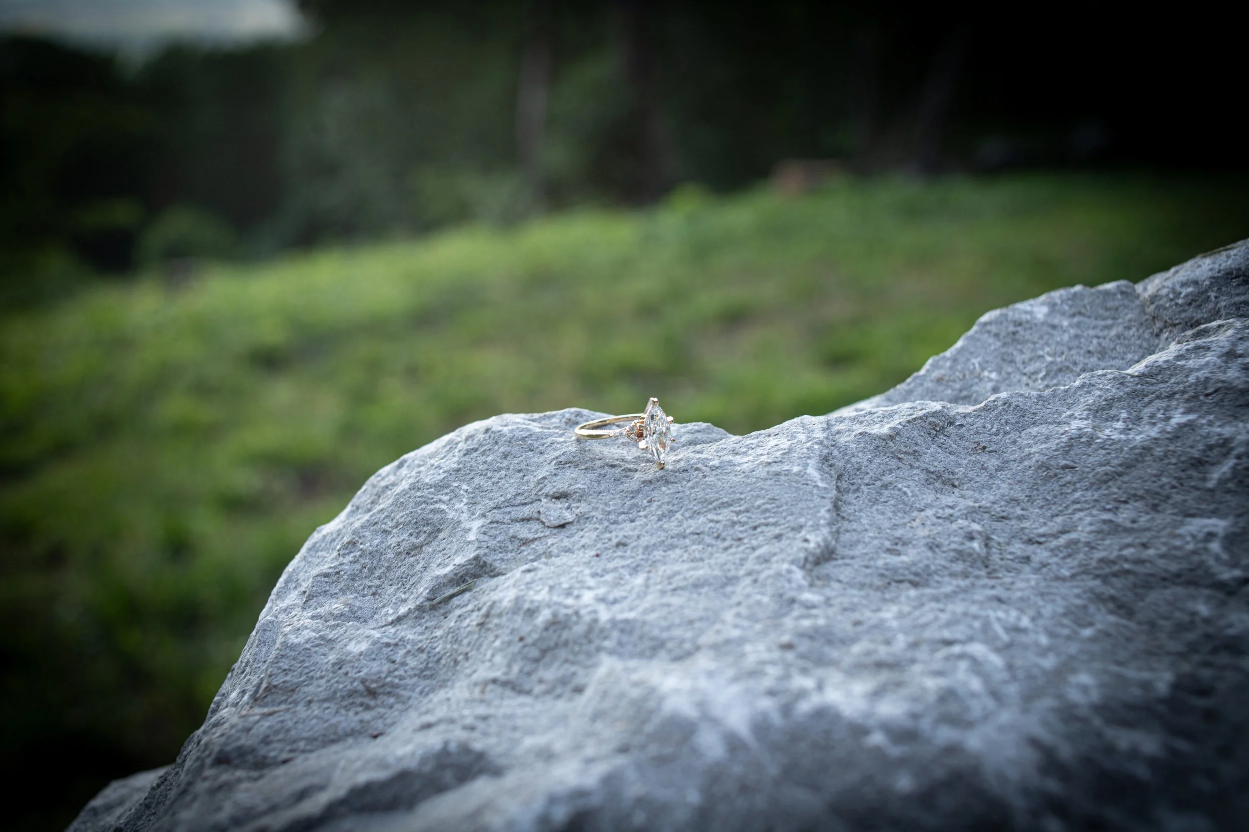 _MG_6921.jpg