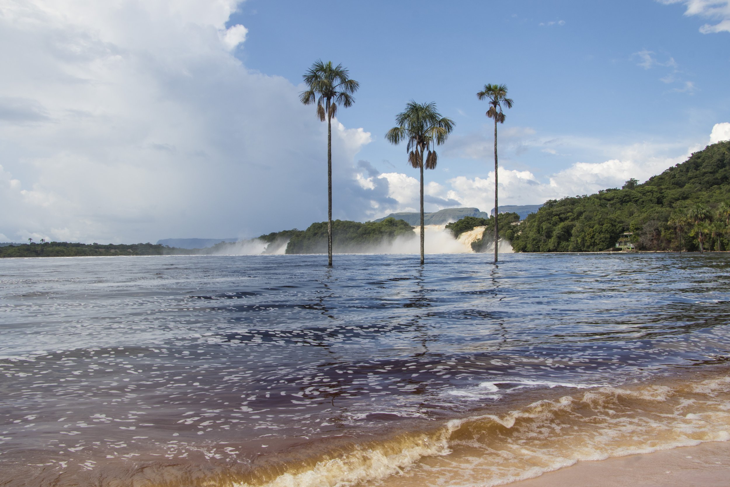 Marcador de posición