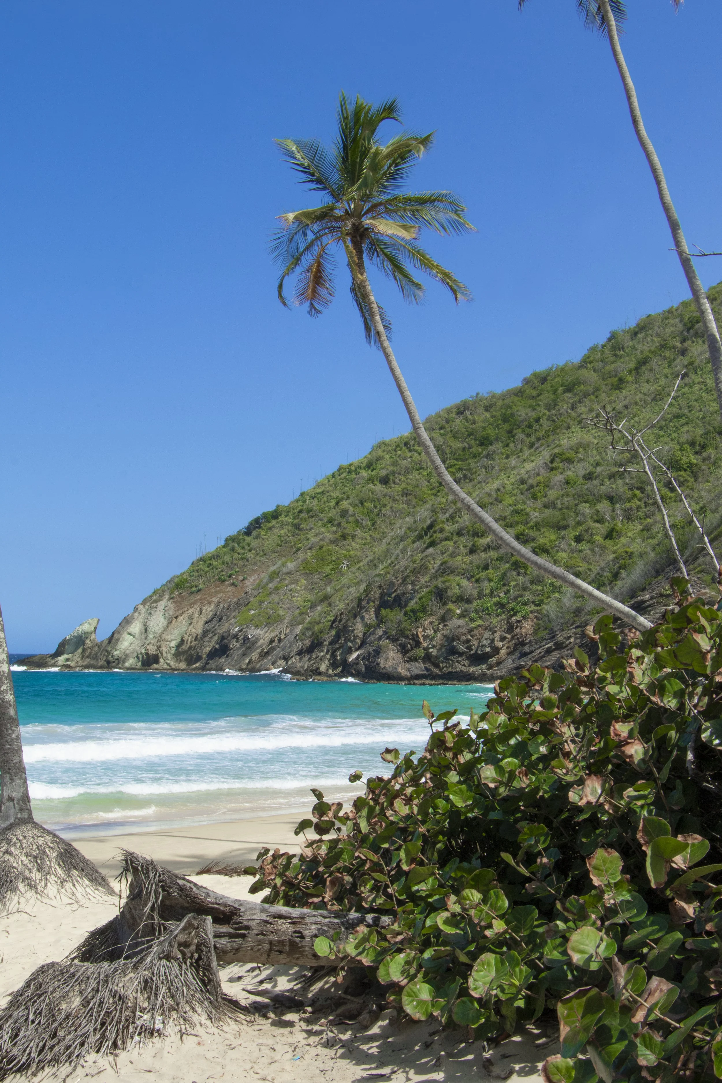 Marcador de posición