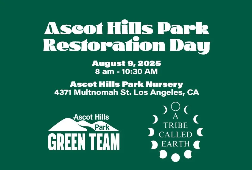 Ascot Hills Park Green Team & We Explore Earth Restoration Volunteer Event - August 9, 2025