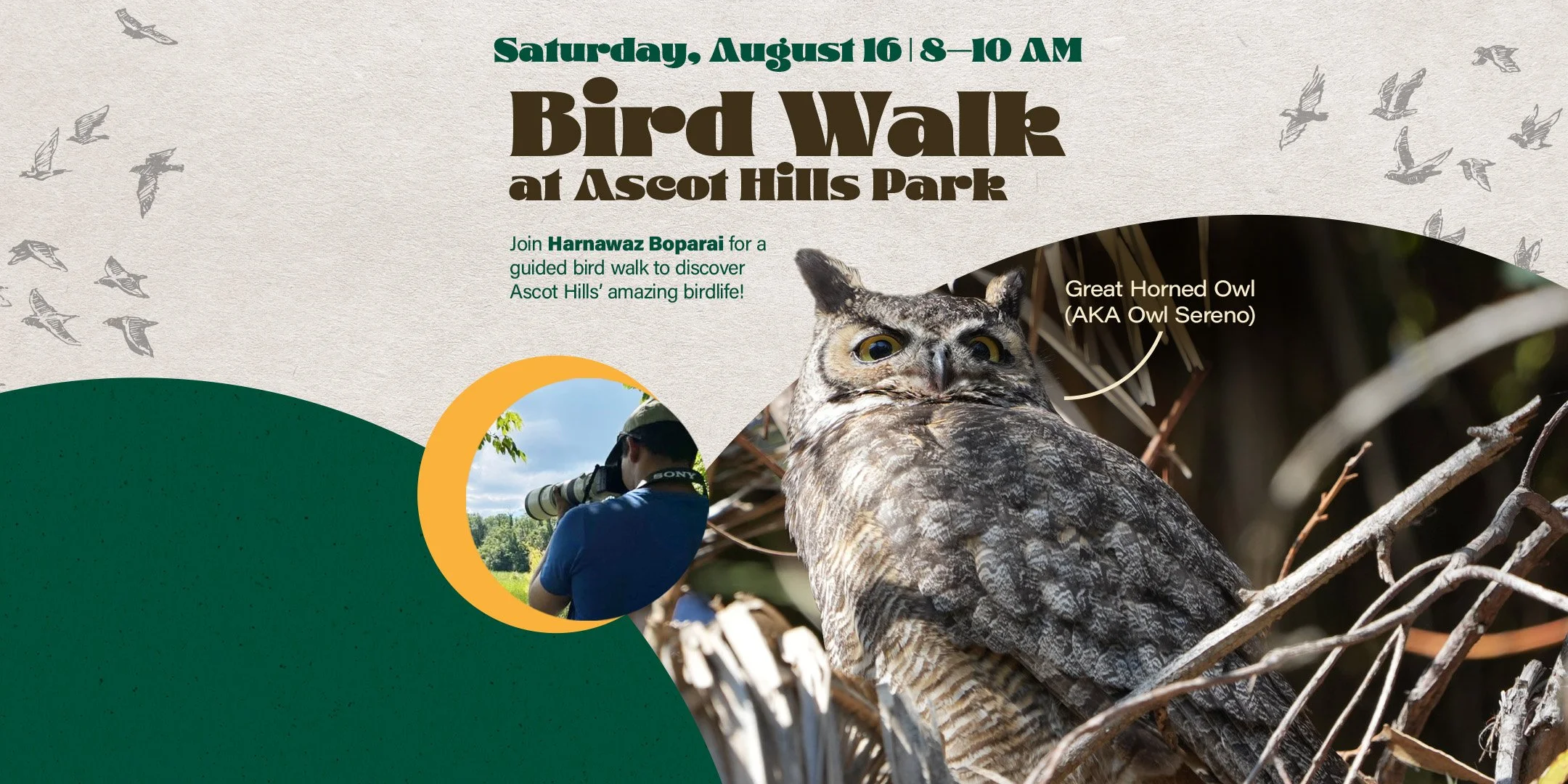 Bird Walk at Ascot Hills Park - August 16, 8-10AM