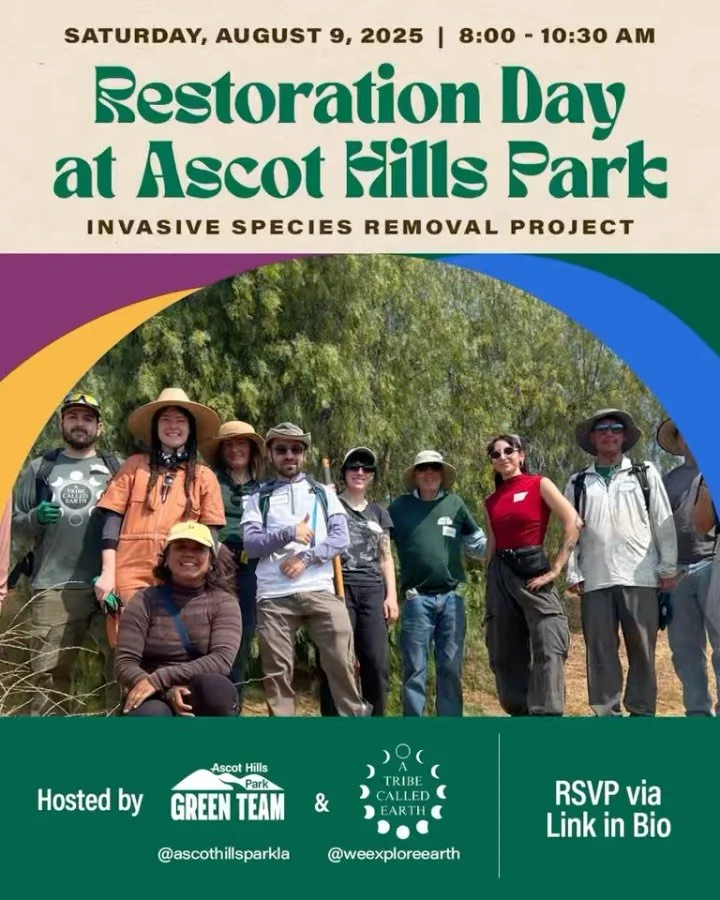 🌿 RESTORATION DAY &mdash; AUGUST 9 🌿
Join us and @weexploreearth for a focused morning of hands-on habitat care at Ascot Hills Park! We&rsquo;re continuing our mission to remove invasive species like black mustard, prickly lettuce, and tumbleweed&m