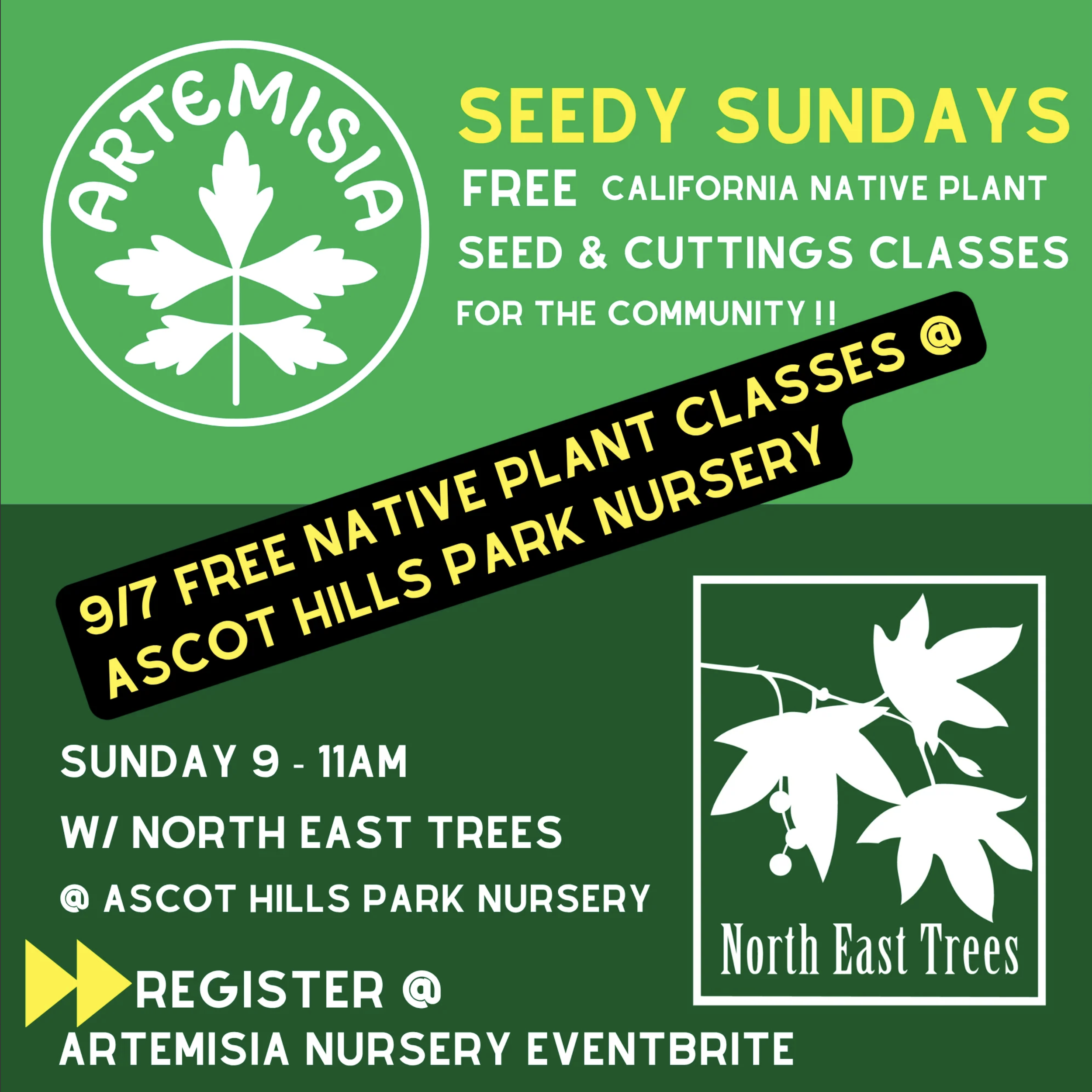 Seedy Sundays at Ascot Hills Park Nursery with Artemisia and NET 9/7 at 9AM