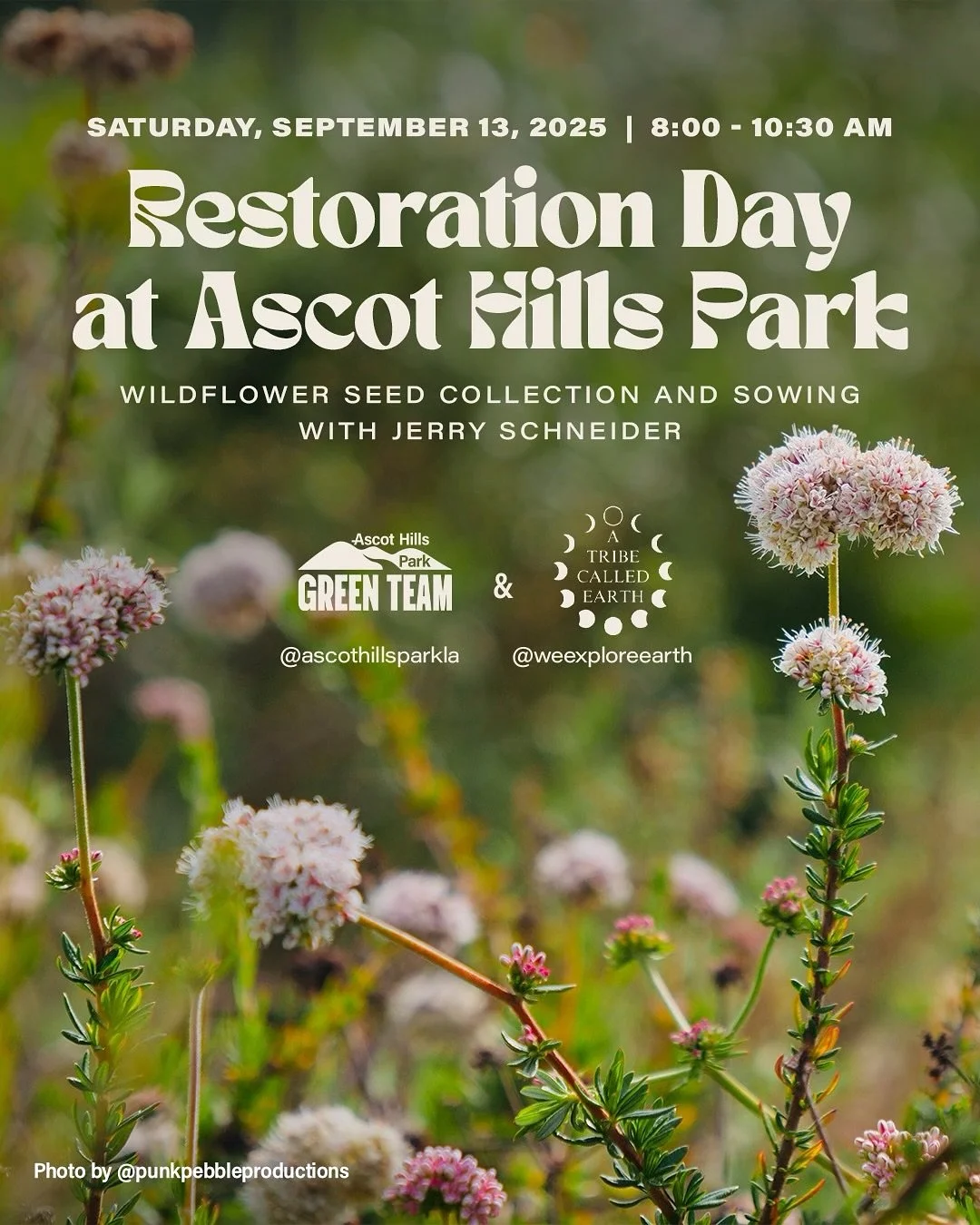 Ascot Hills Park Green Team Monthly Restoration Event: 
Wildflower Seed Collection &amp; Sowing with Jerry Schneider

📅 Saturday, September 13, 2025
⏰ 8:00 &ndash; 10:30 AM
📍 Meet at the nursery (west end of the gravel parking area)

Help us restor