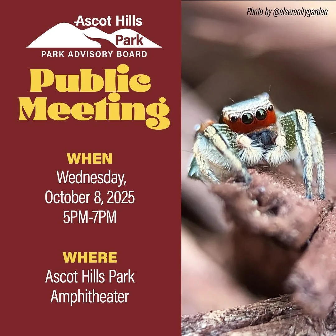 🦋 You&rsquo;re Invited!
Join the Ascot Hills Park Advisory Board (PAB) for our Quarterly Public Meeting&mdash;and share your voice! 🌿

📅 Wednesday, October 8, 2025
🕕 5:00 &ndash; 7:00 PM
📍 Ascot Hills Park Amphitheater (map attached)

Whether yo