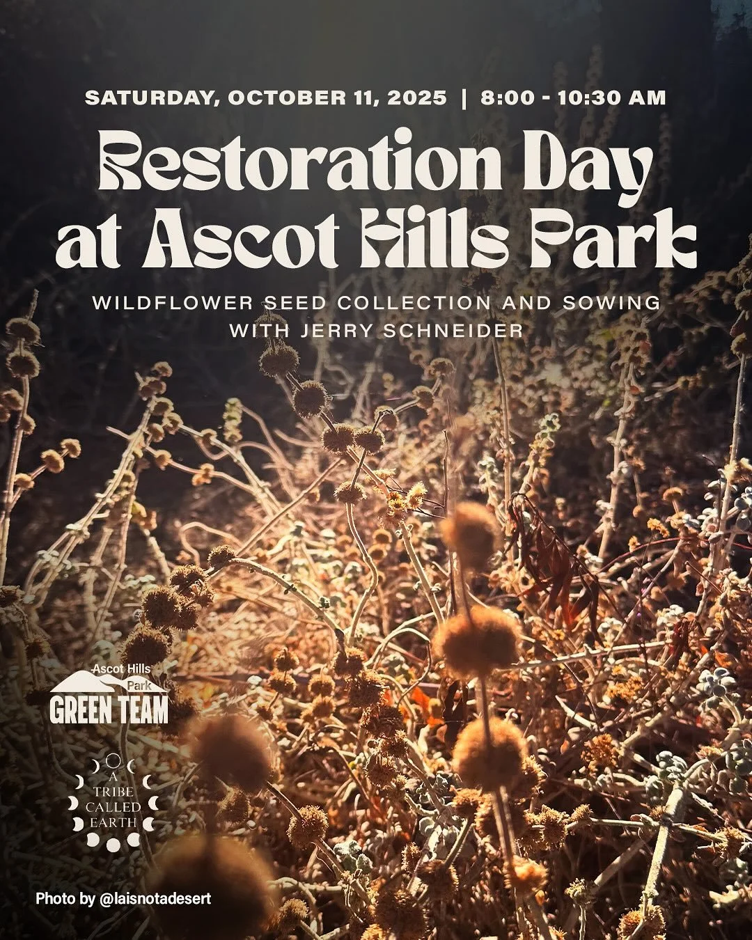 Ascot Hills Park Green Team Monthly Restoration Event:
Wildflower Seed Collection &amp; Sowing with Jerry Schneider

📅 Saturday, October 11, 2025
⏰ 8:00 &ndash; 10:30 AM
📍 Meet at the nursery (west end of the gravel parking area)

Help us restore A
