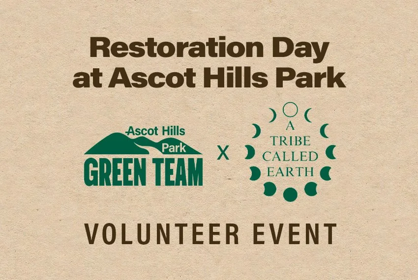Ascot Hills Park Green Team + We Explore Earth Volunteer Event