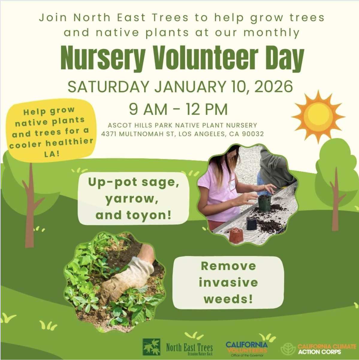 North East Trees: Nursery Monthly Action Day - Saturday January 10, 2026