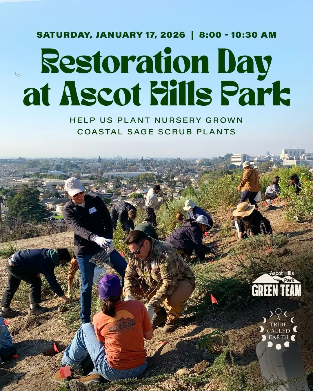 Date update: To welcome student volunteers back from winter break, our monthly restoration event has been moved to Saturday, January 17.

🌱 Restoration Day at Ascot Hills Park 🌱

Join the Ascot Hills Park Green Team as we spend the morning planting