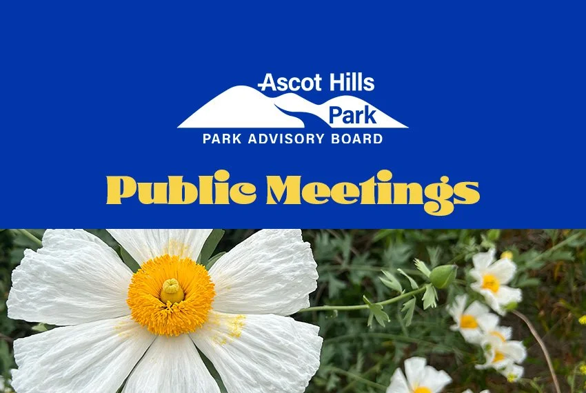 Ascot Hills Park - Park Advisory Board Public Meetings - Q2 April 8, 2026