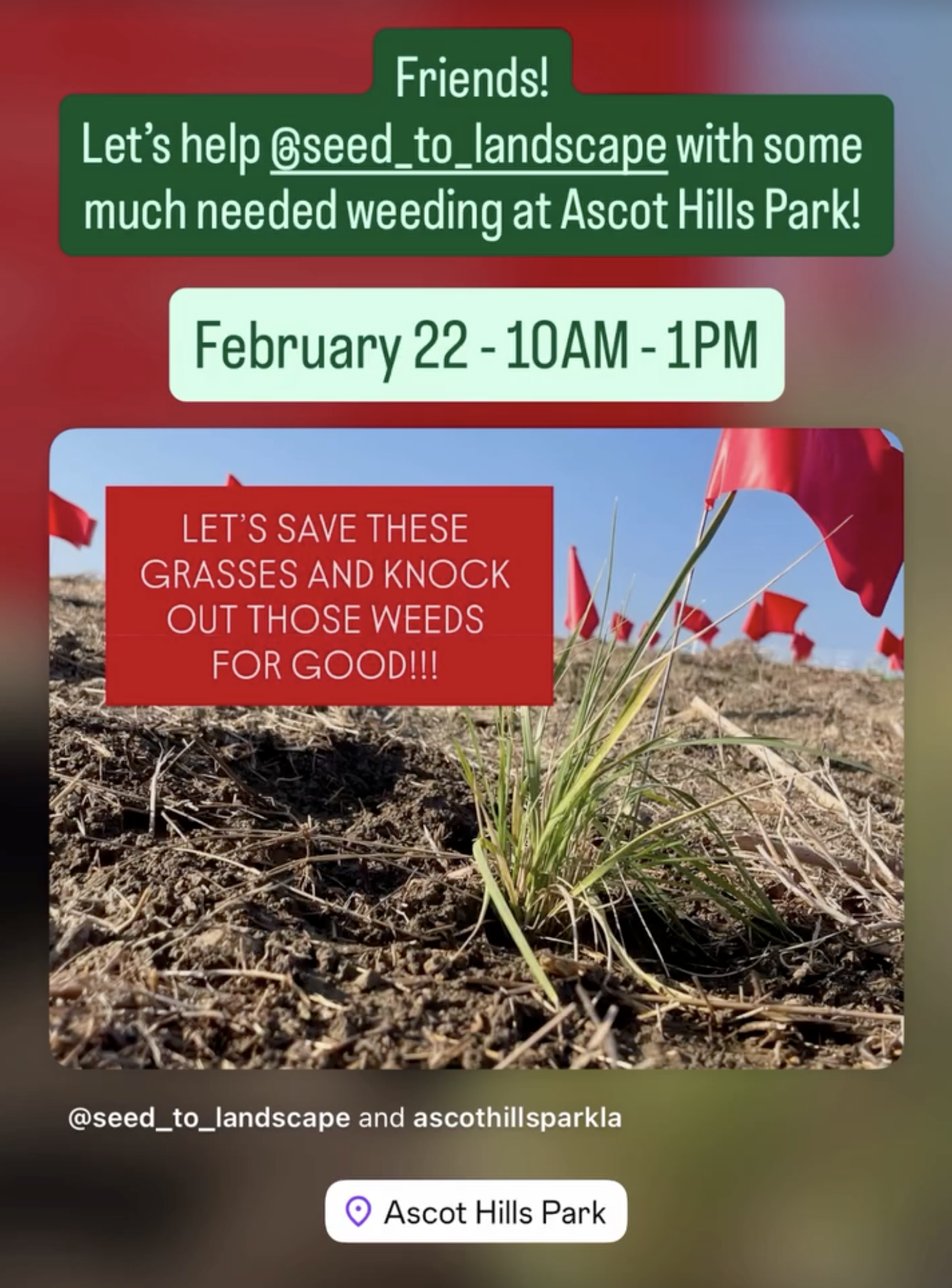 Weeding at Ascot Hills Grassland with Seed to Landscape 2/22/26 at 10AM