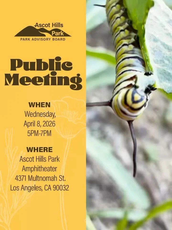 Ascot Hills Park Advisory Board &ndash; Public Meeting

Join us for our next public meeting and be part of the conversation about the future of Ascot Hills Park.

🗓 Wednesday, April 8, 2026
⏰ 5:00&ndash;7:00 PM
📍 Ascot Hills Park Amphitheater 
4371