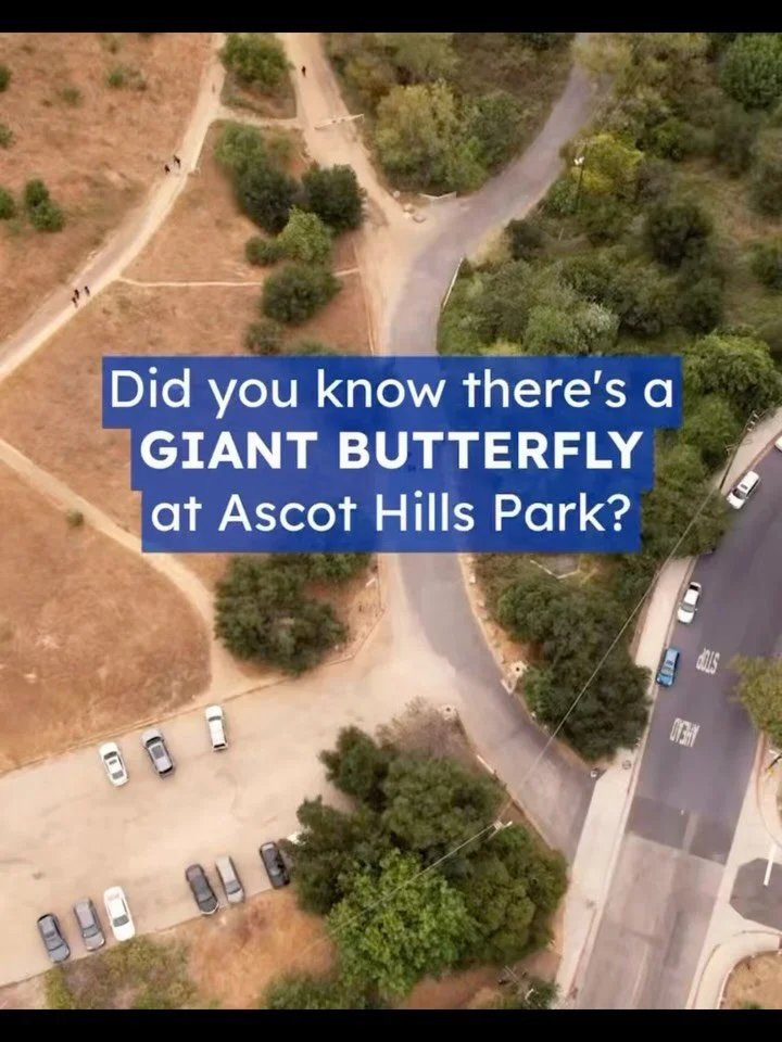 🦋 Have you visited the Interpretive Nature Center at Ascot Hills Park yet?

Located near the flagpole in the parking lot, this butterfly shaped outdoor learning space is one of the park&rsquo;s most unique features and was created with the community