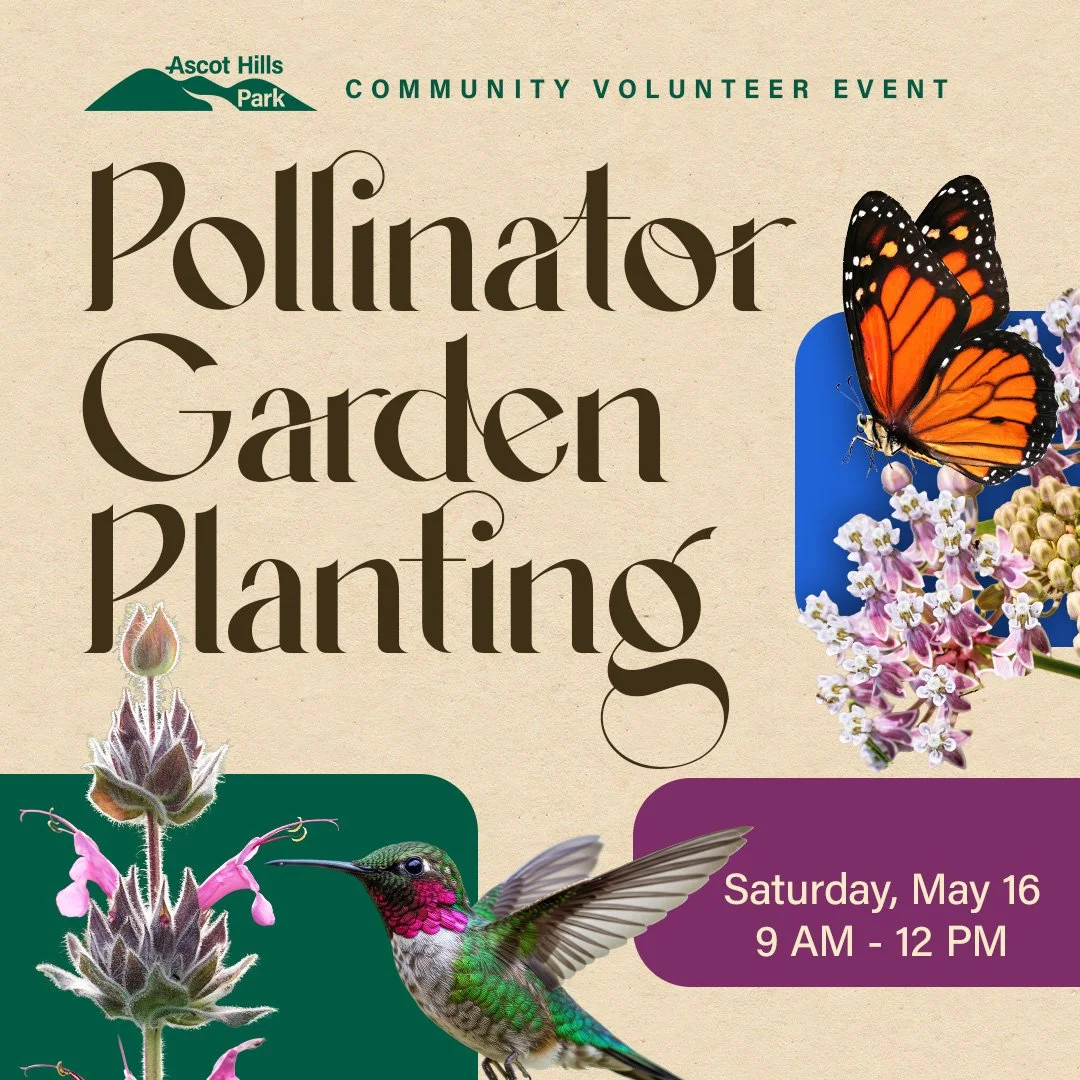 Pollinator Garden Planting