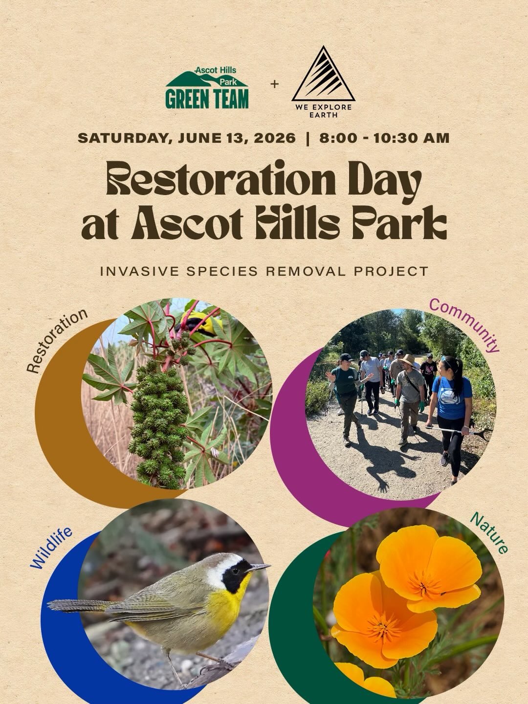 The Ascot Hills Park Green Team and @weexploreearth are back for our June Restoration Day. We&rsquo;ll be heading up to the East Ridge to remove Castor Bean (Ricinus communis), a toxic invasive plant that crowds out native habitat and burns hot durin
