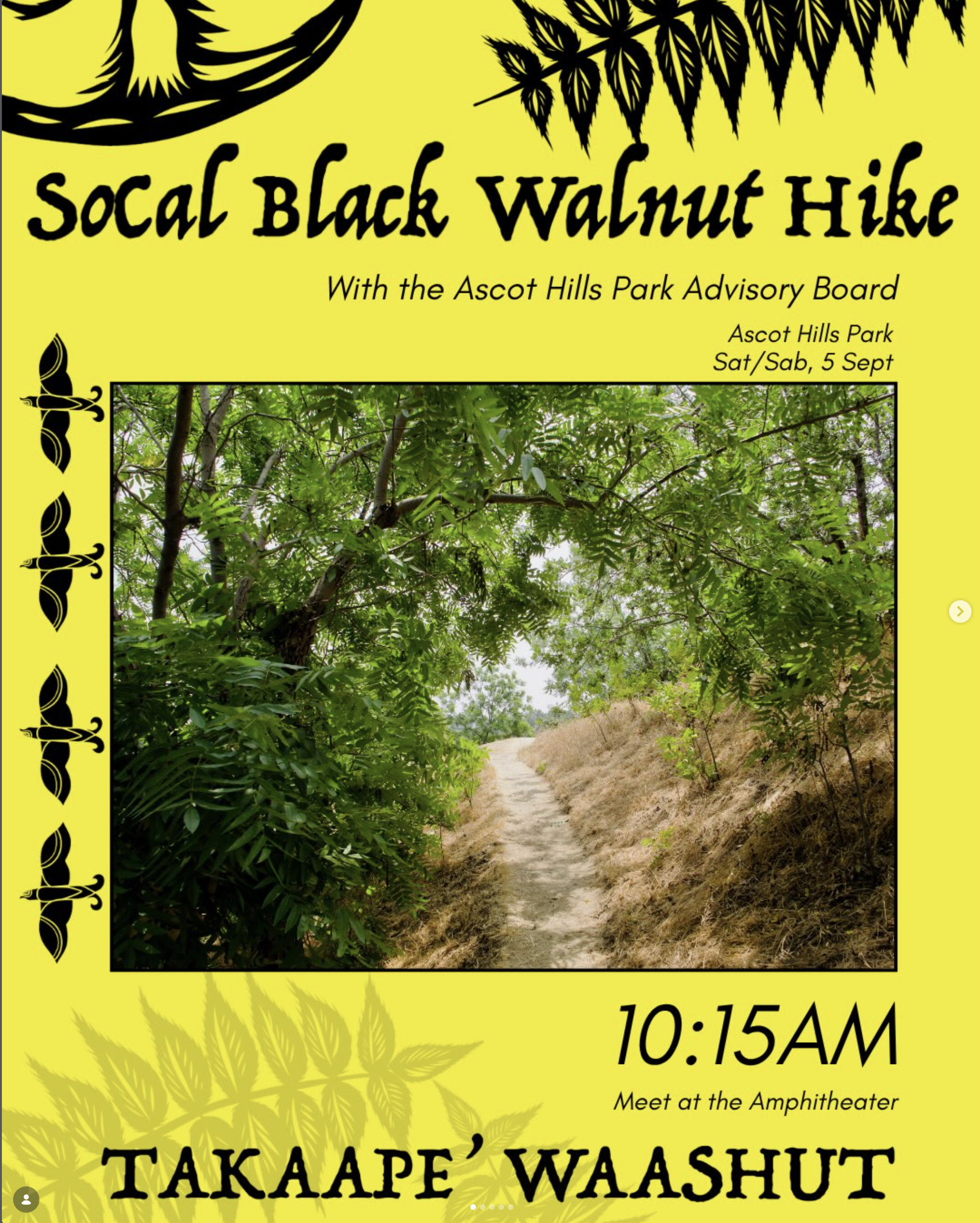 So Cal Black Walnut Tree Hike