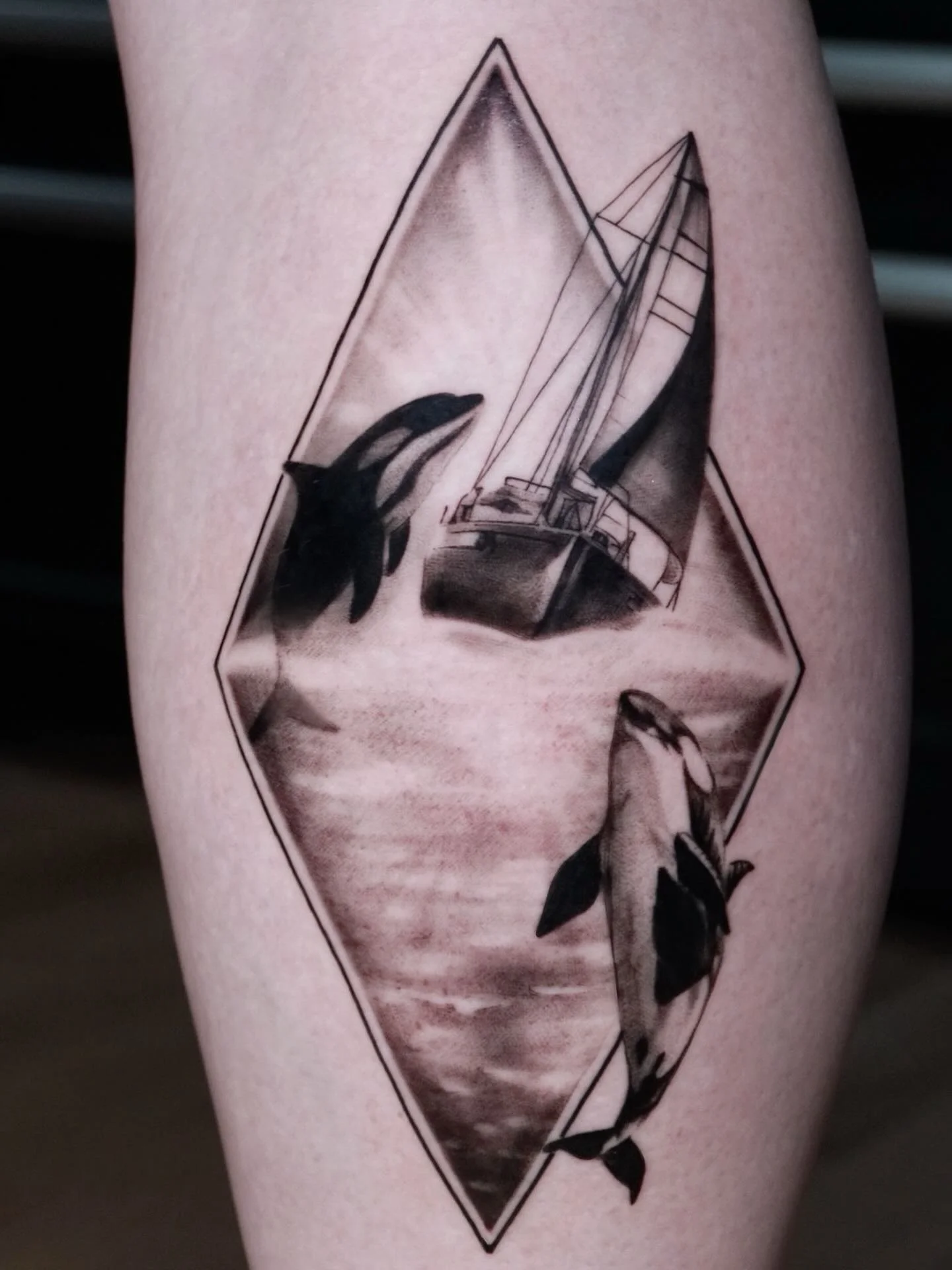 Iykyk

#orca #killerwhale #yacht #billionarelifestyle #eattherich #tattooshop #orcatattoo #blackandgray #lgbtq🌈 #love #photography