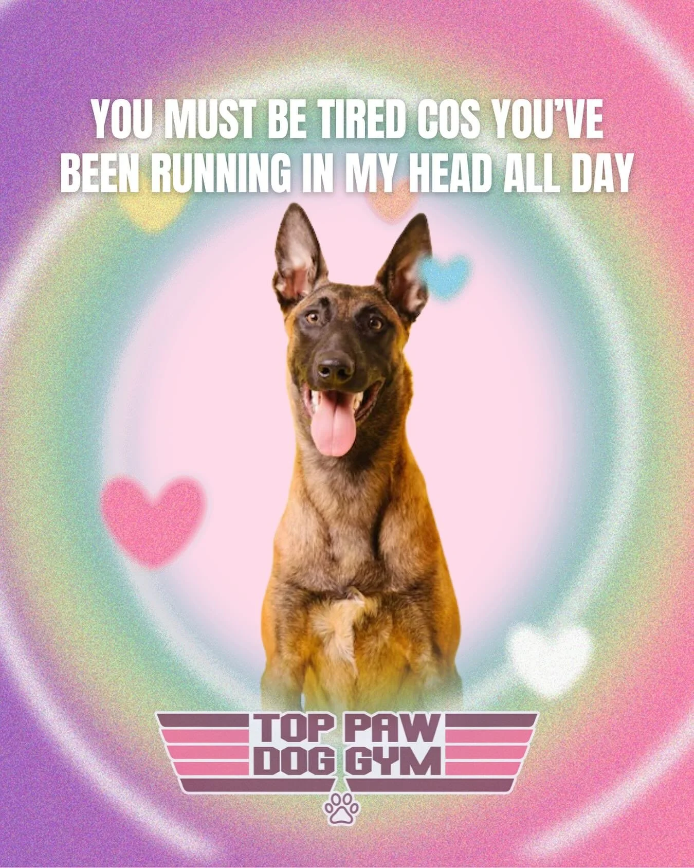 Running through your mind all day? 🥰 We get it! Give your pup the workout they deserve this Valentine&rsquo;s season. Book a run with us at Top Paw Dog Gym and let the love (and the exercise) flow!

 #TopPawDogGym #BeMyValentine #ValentinesDay #Paws