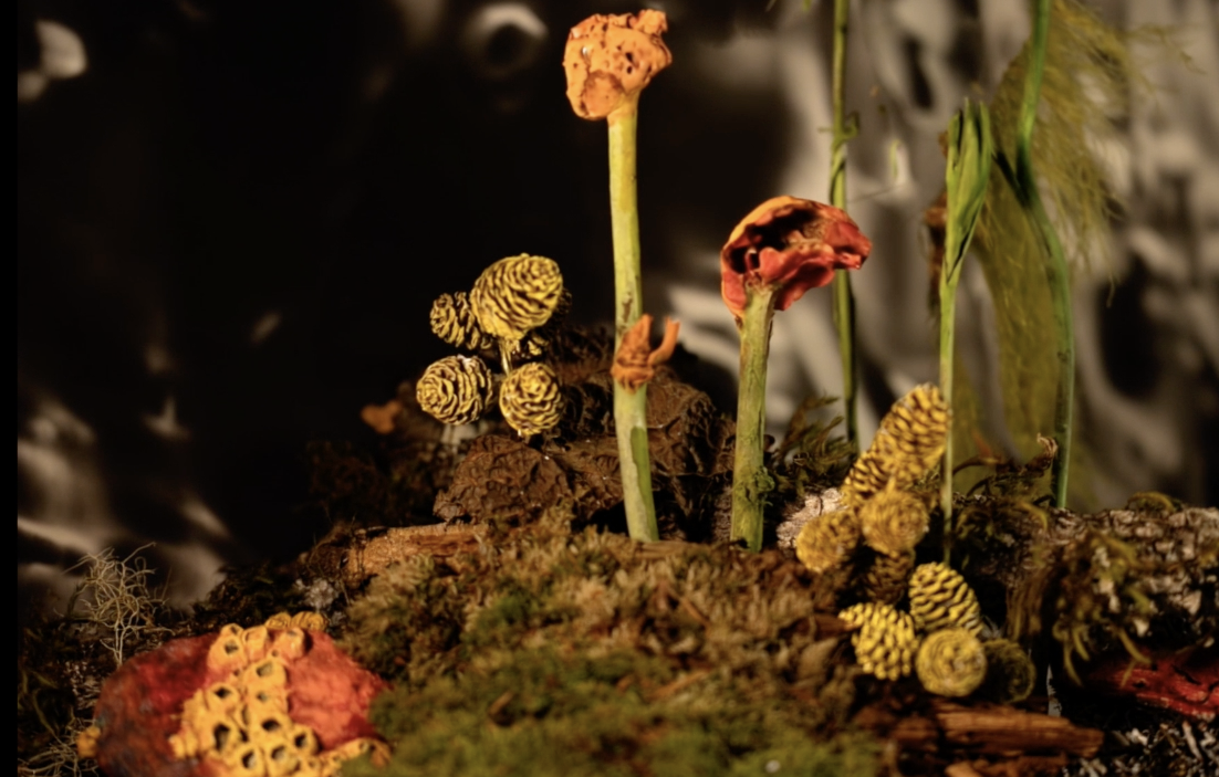 Exhibits, Festivals and Residencies