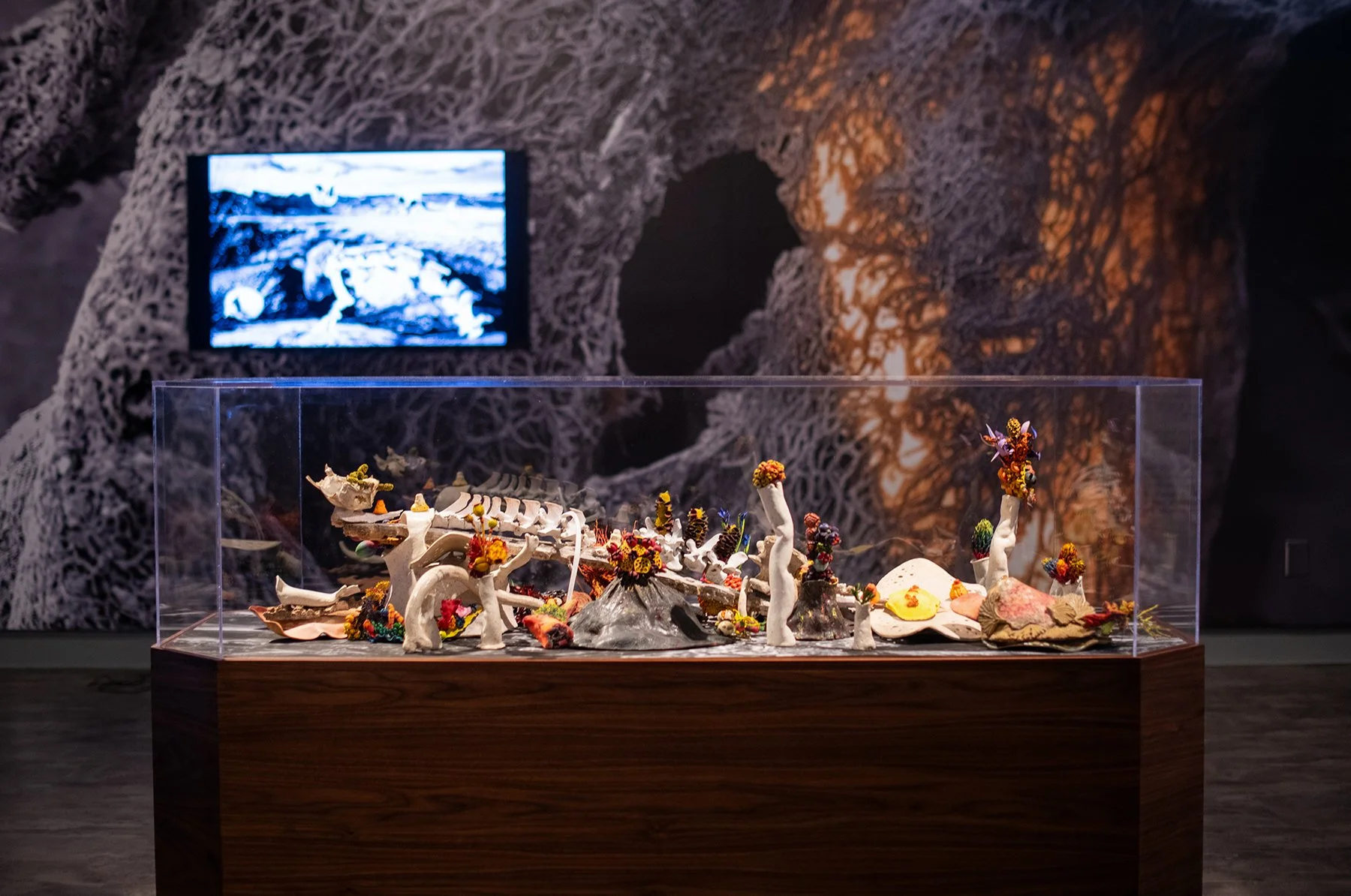 Vitrine with Vanitas.jpg