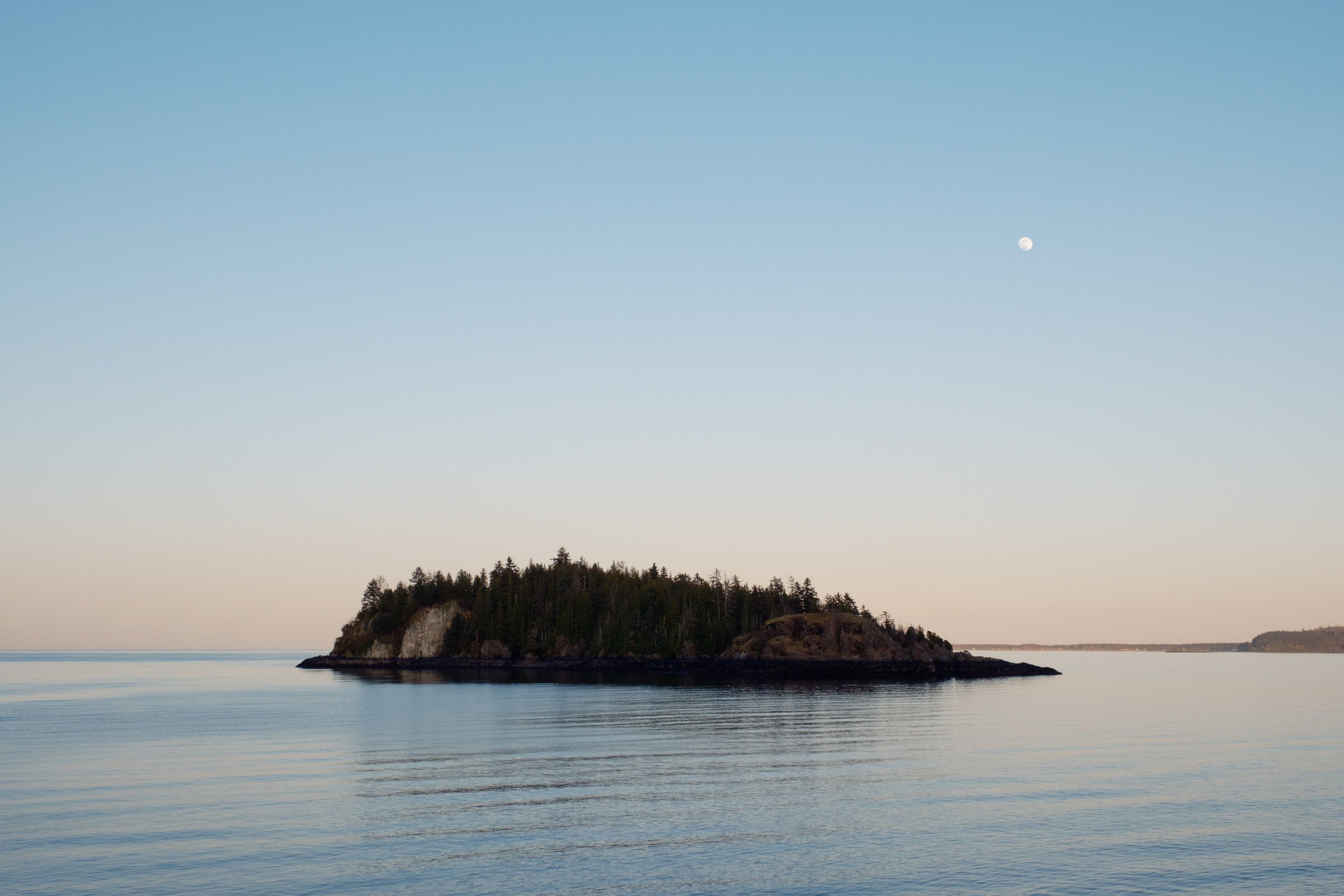 Homepage Images-1-2.jpg