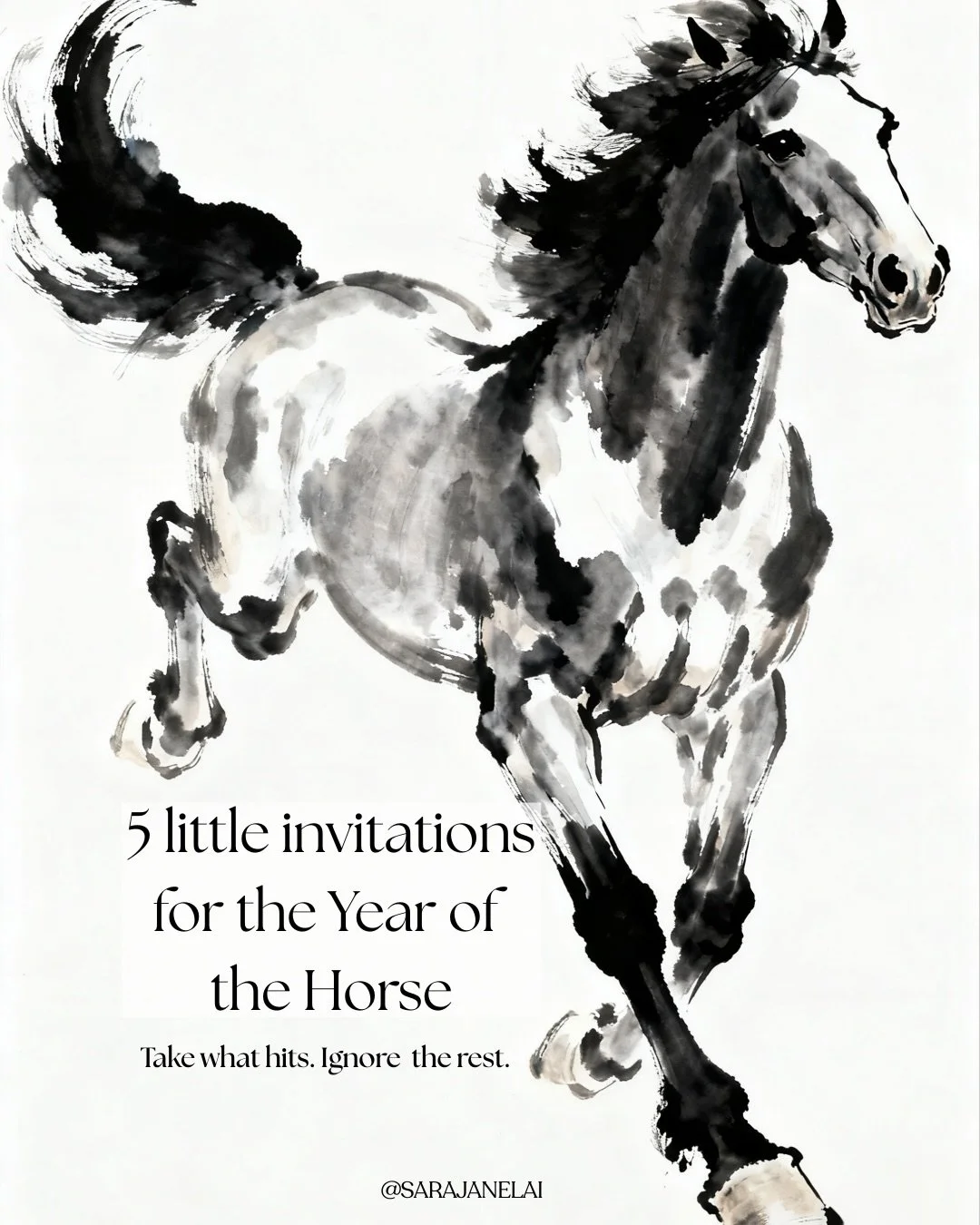If last year felt like peeling back layers&hellip;🐍 Maybe this year is all about moving forward🐎.

If something in you is ready to move, but you&rsquo;re not sure how to begin, DM me. 

Coaching might be the steady, grounded space that helps you bu