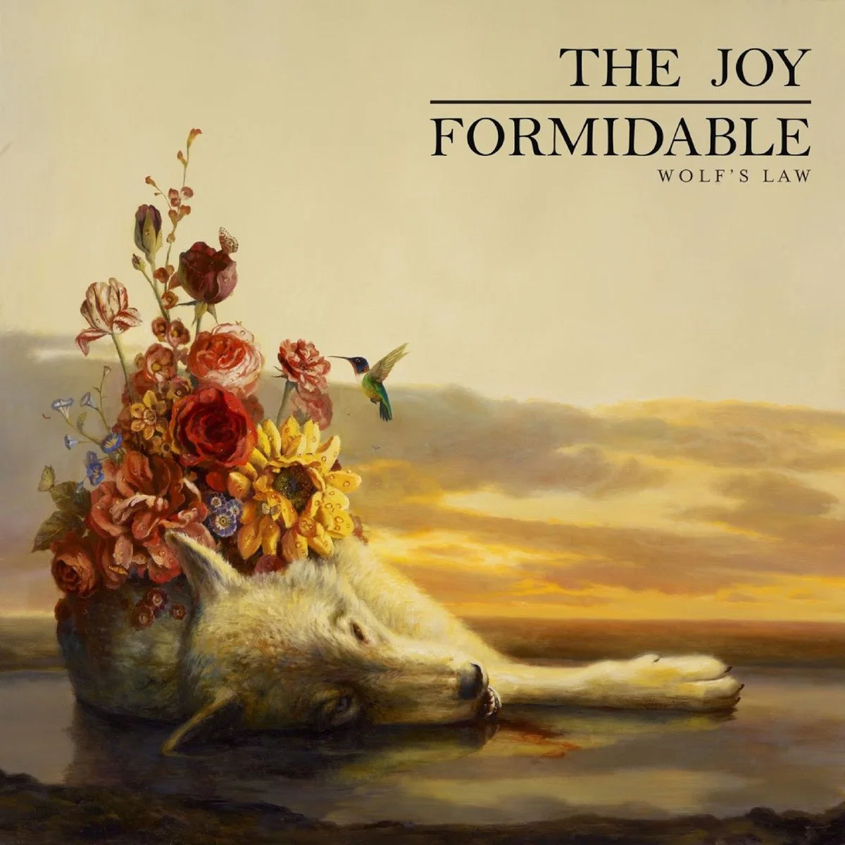 joy formidable wolfs law.jpg