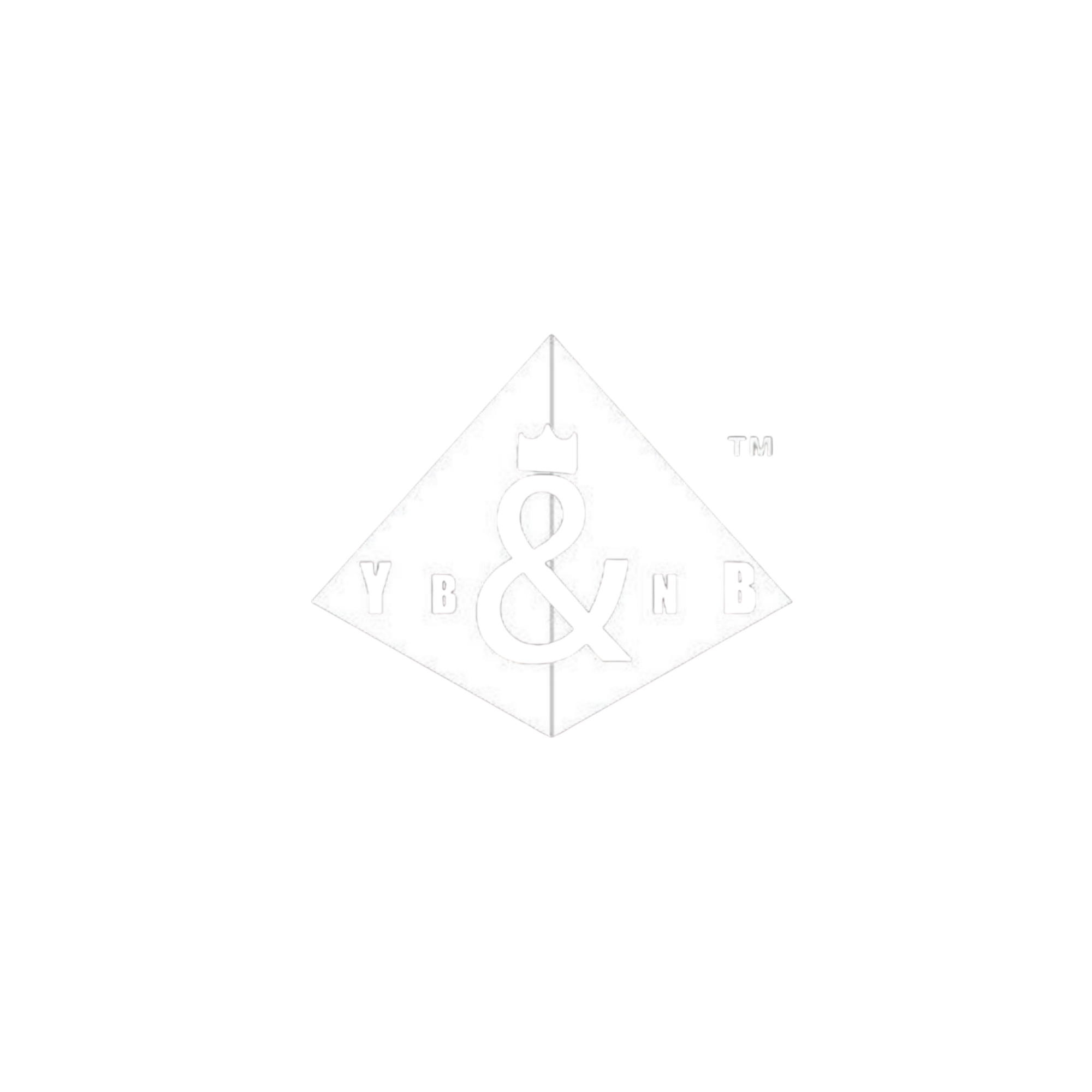 san diego marketing company logo young black and n business