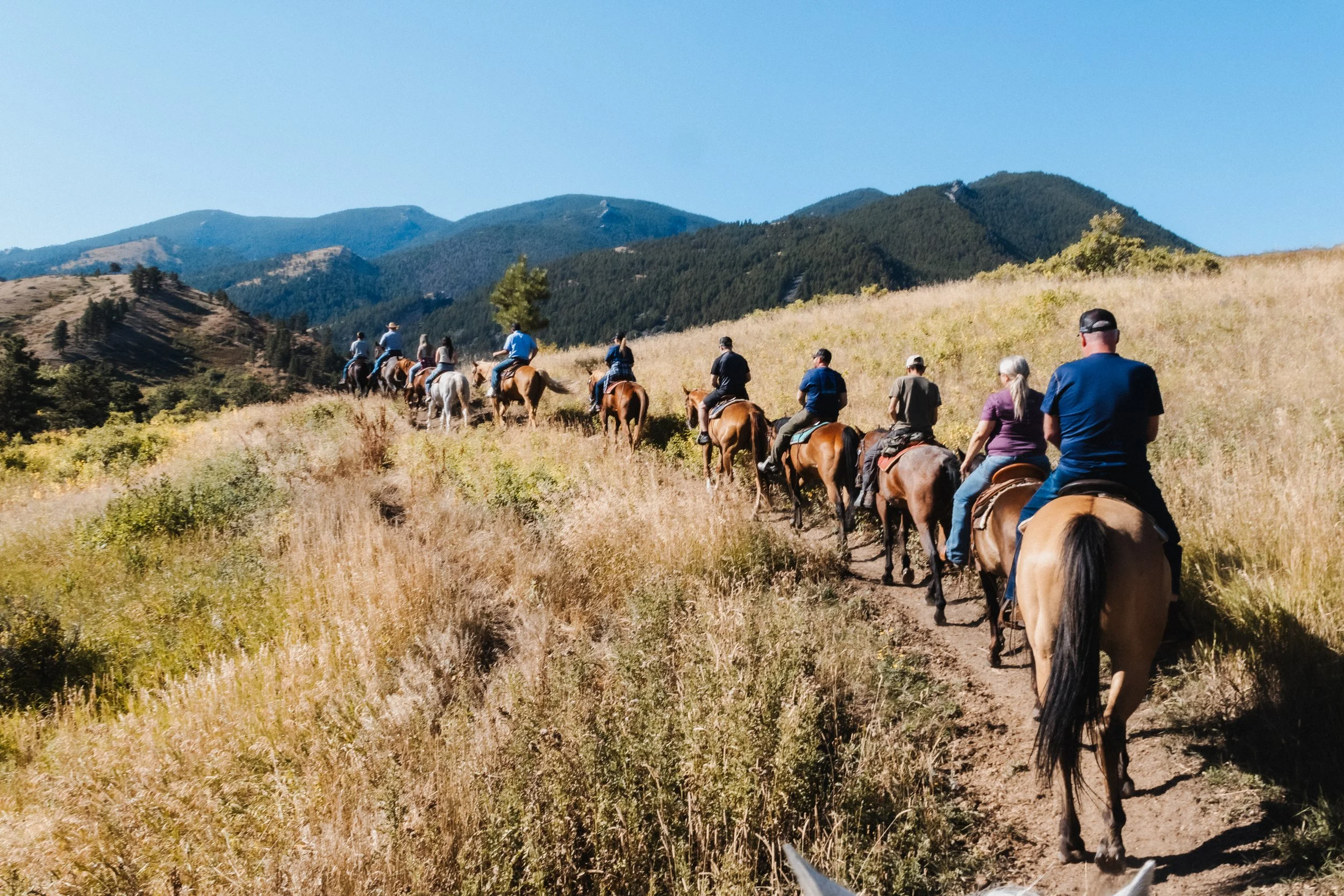 TRAIL RIDING