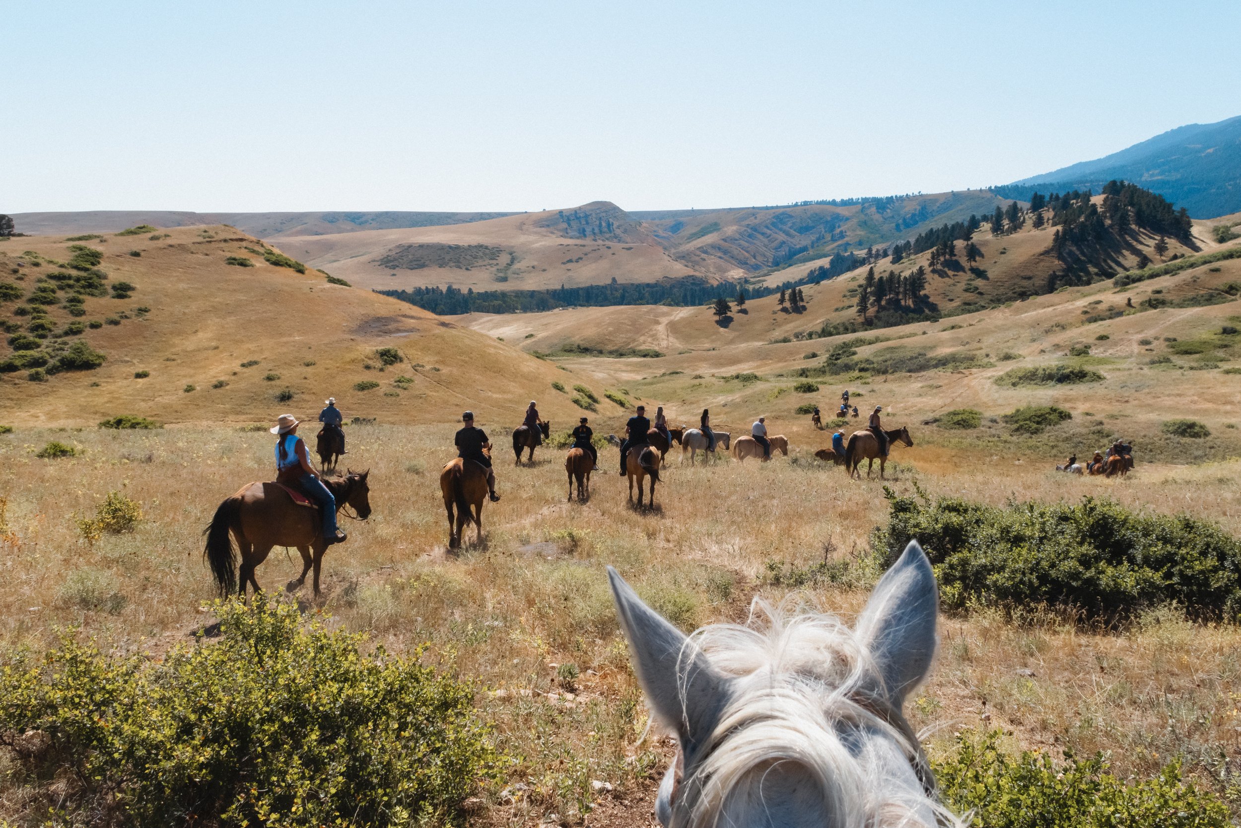 WyoWestWarriors-12.jpg