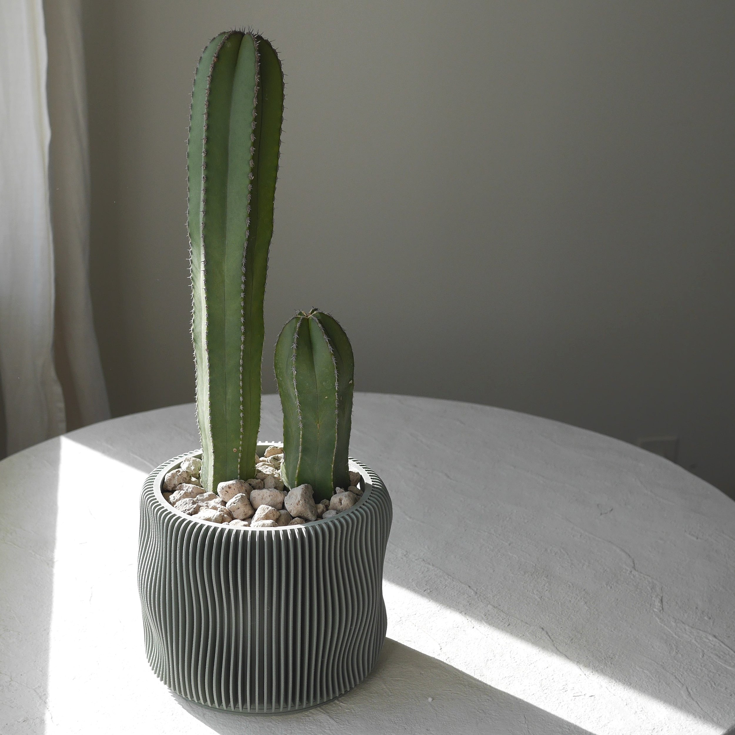 P9350141.jpg