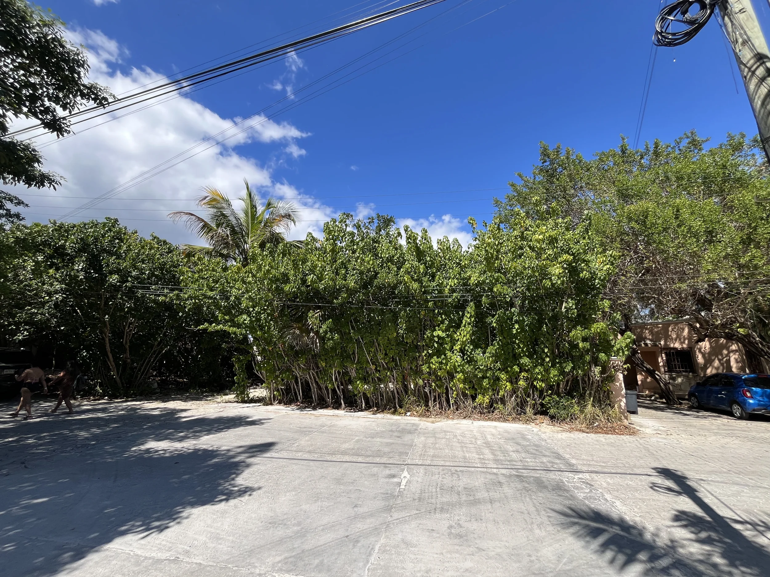 Terreno en Venta – Zona Yalkú / Punta Akumal, Riviera Maya