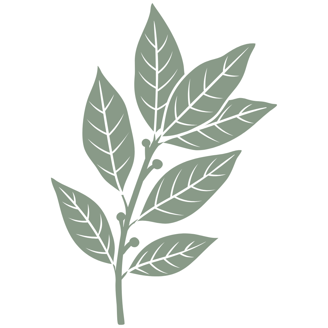 Pain During Sex: Why It Happens and How Therapy Can Help