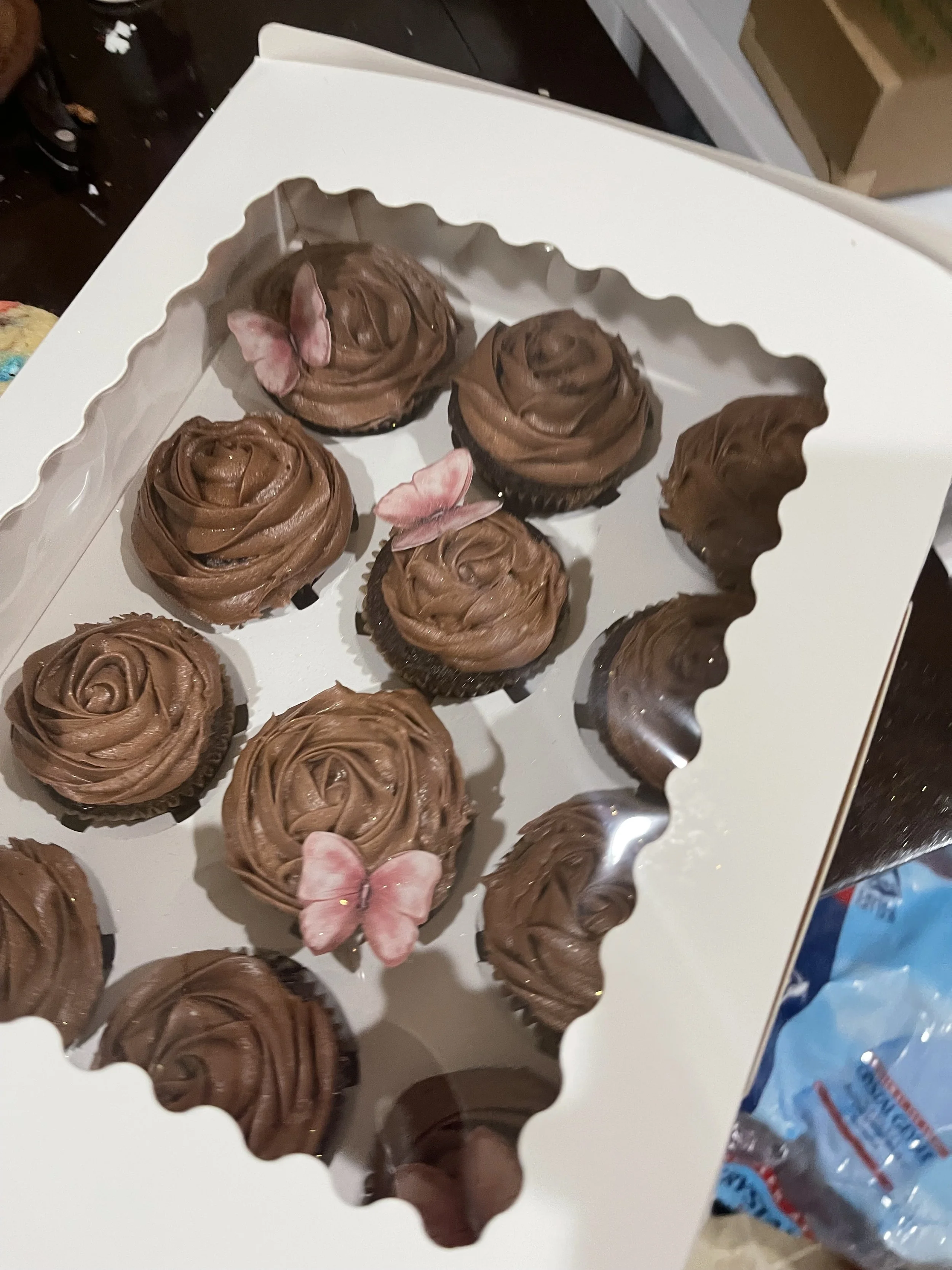 Chocolate Cupcakes