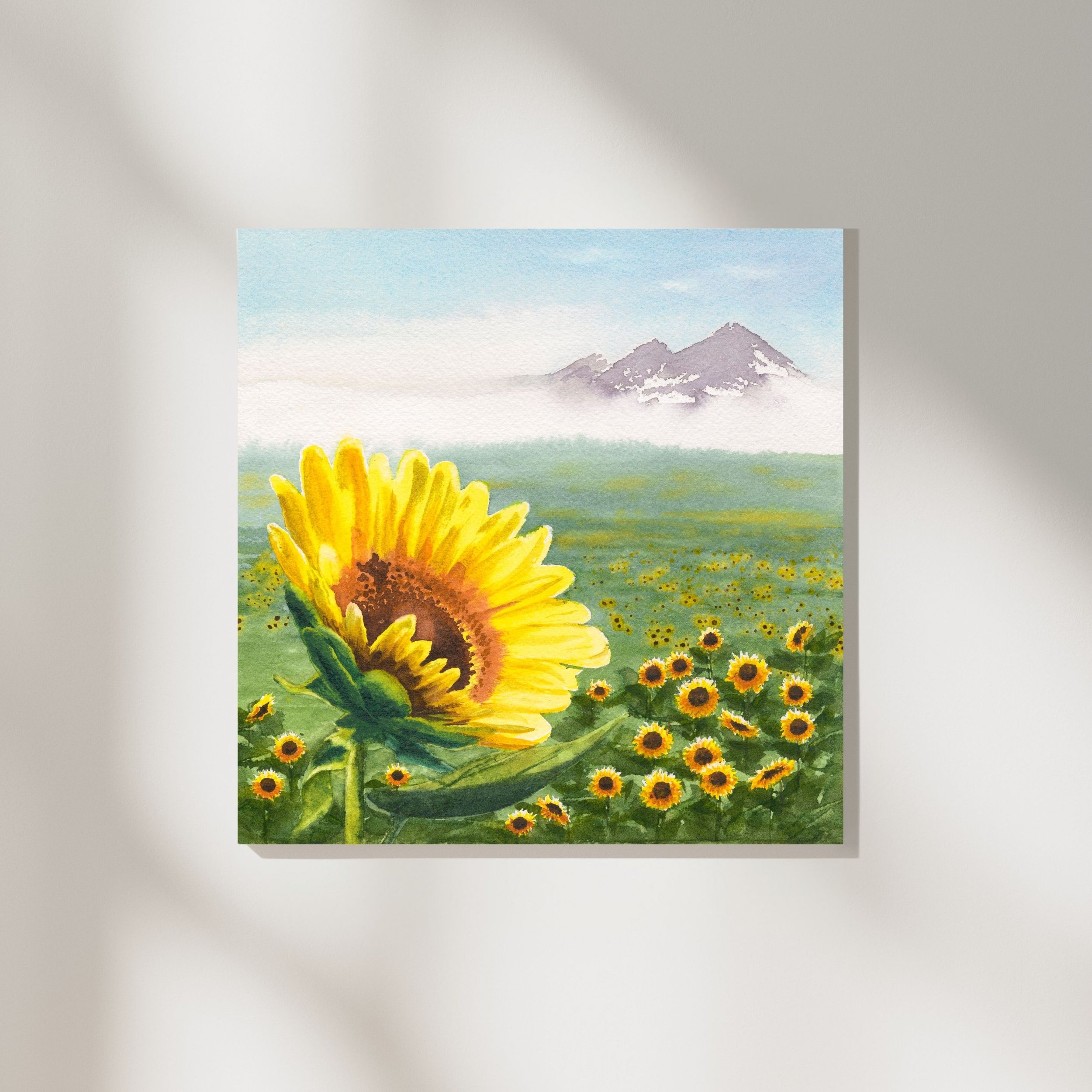 Sunflower Field