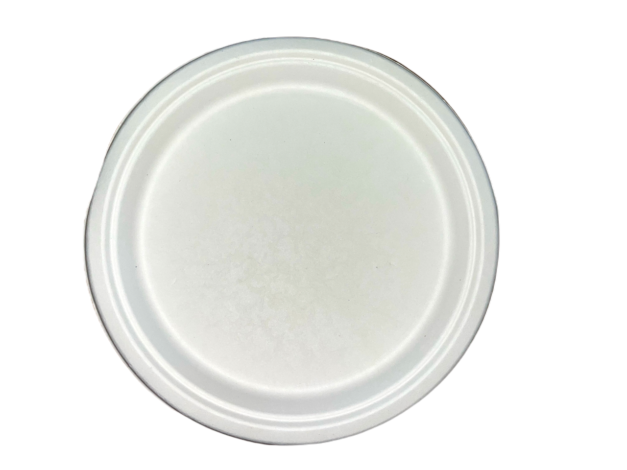 Biodegradable Round Plate Heavy-duty Disposable Plate 10 Inch Party Plate Disposable Plate for Events Sturdy Disposable Plate