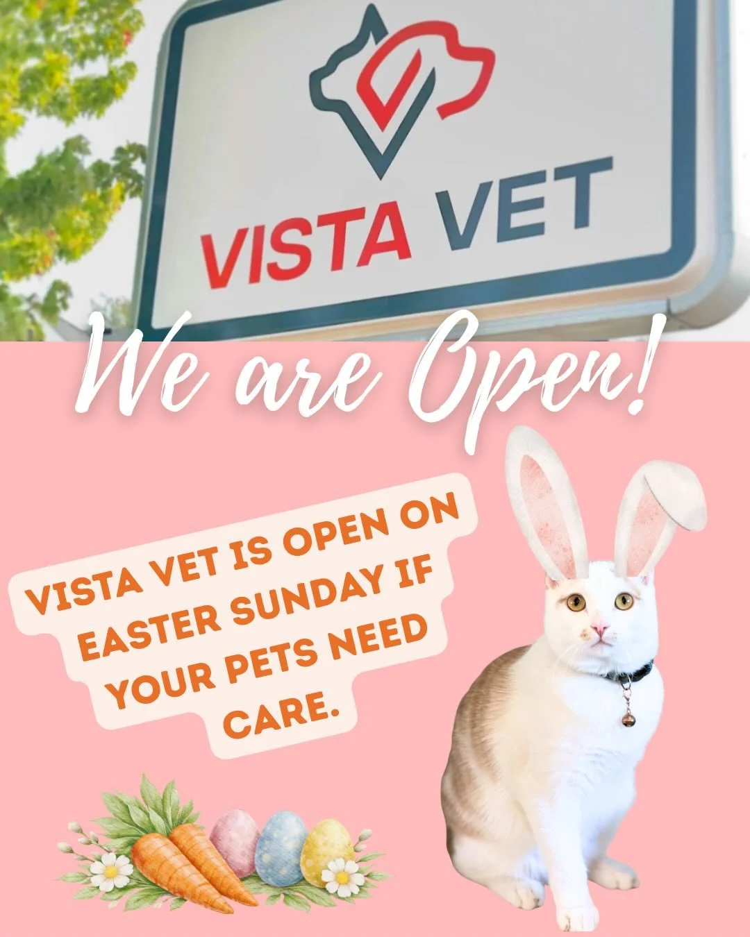 Just a reminder. Vista Vet is open on Easter Sunday of your pets need anything!
