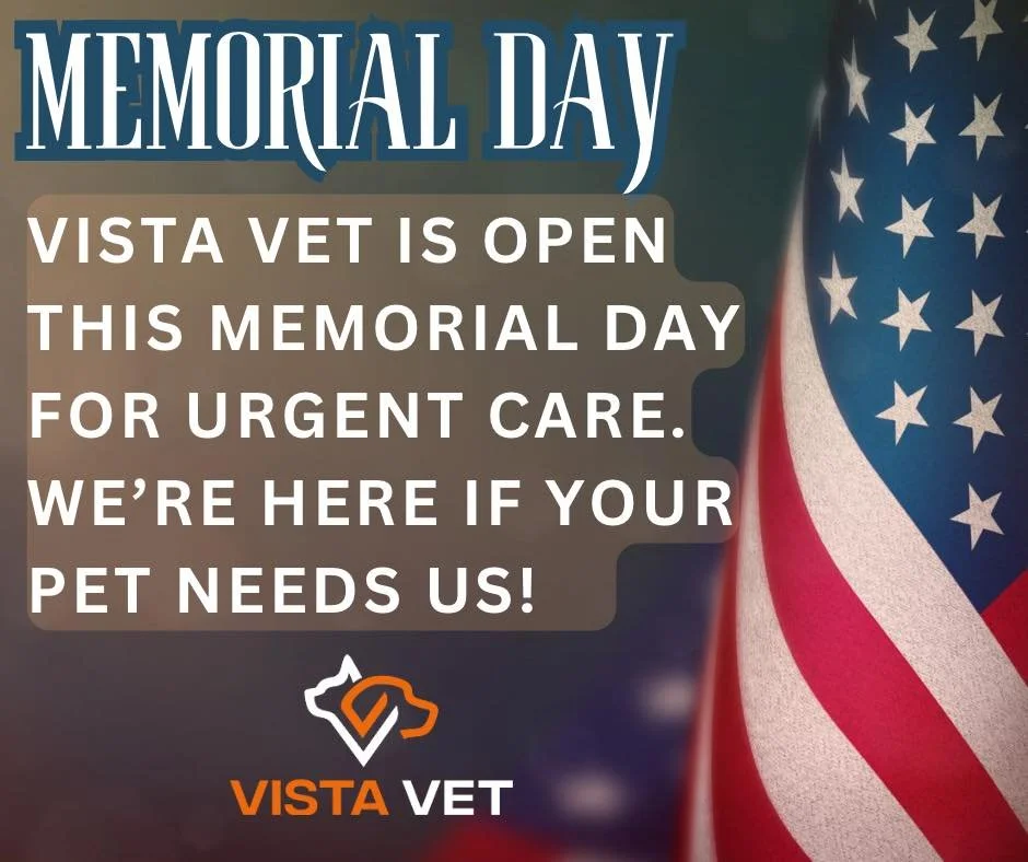 Vista Vet is OPEN this Memorial Day for urgent care. We're here if your pet needs us! Call 801-804-9551 to speak with one of our staff members if your pet needs care.