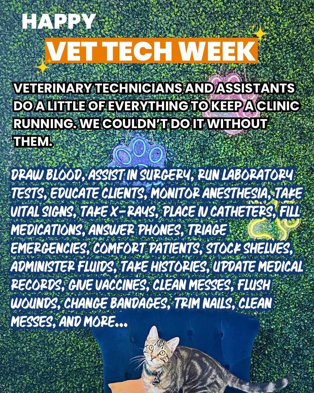 This week, we&rsquo;re celebrating all of our amazing veterinary technicians and assistants! They are the backbone of the veterinary clinic, and we couldn&rsquo;t do it without them. 

Many people don&rsquo;t realize all of the roles that vet techs a