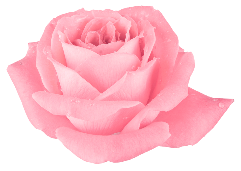Madeline Rose Inner Balance Therapy - Rose